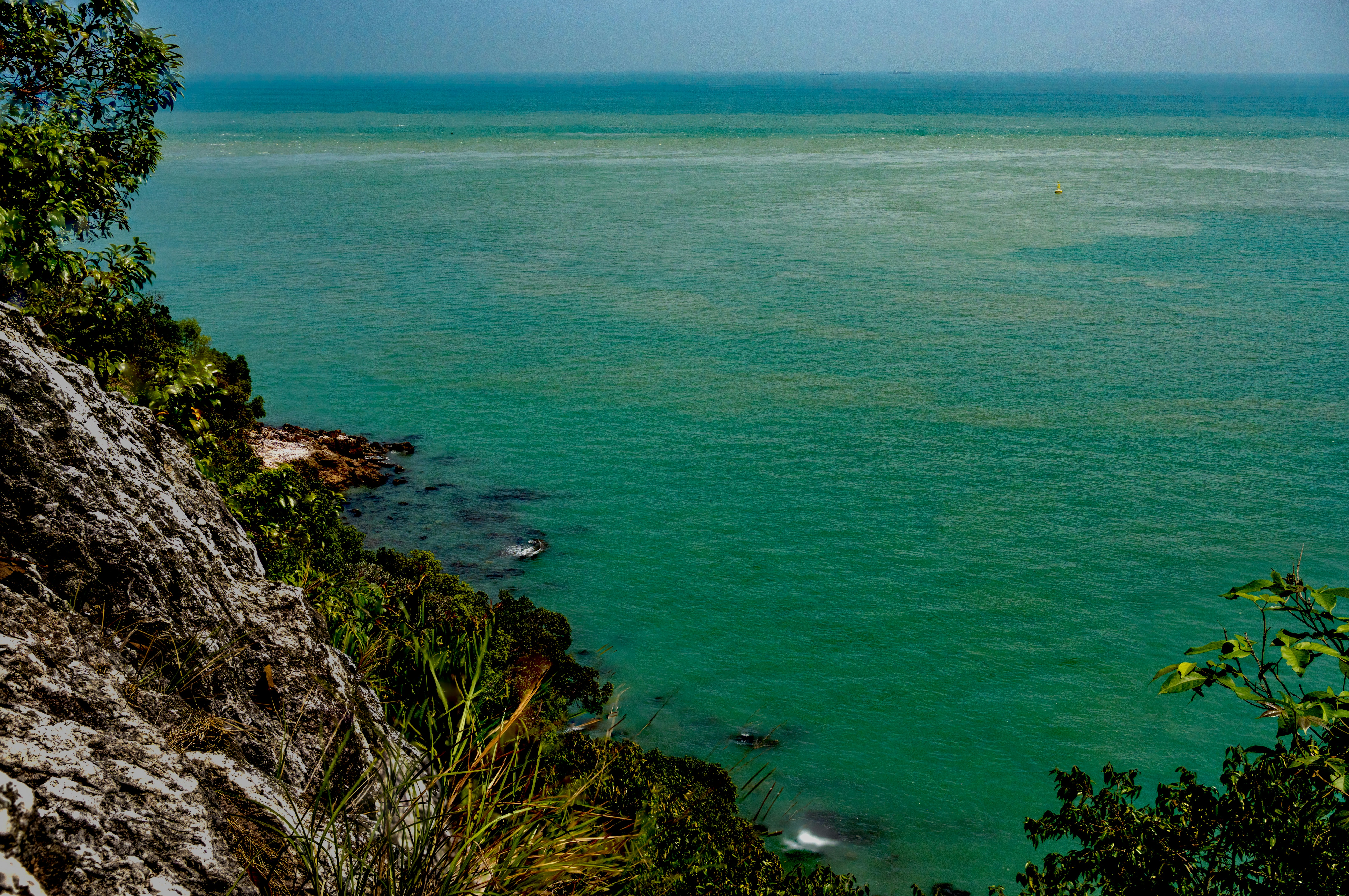 Photo by dannywildwarden