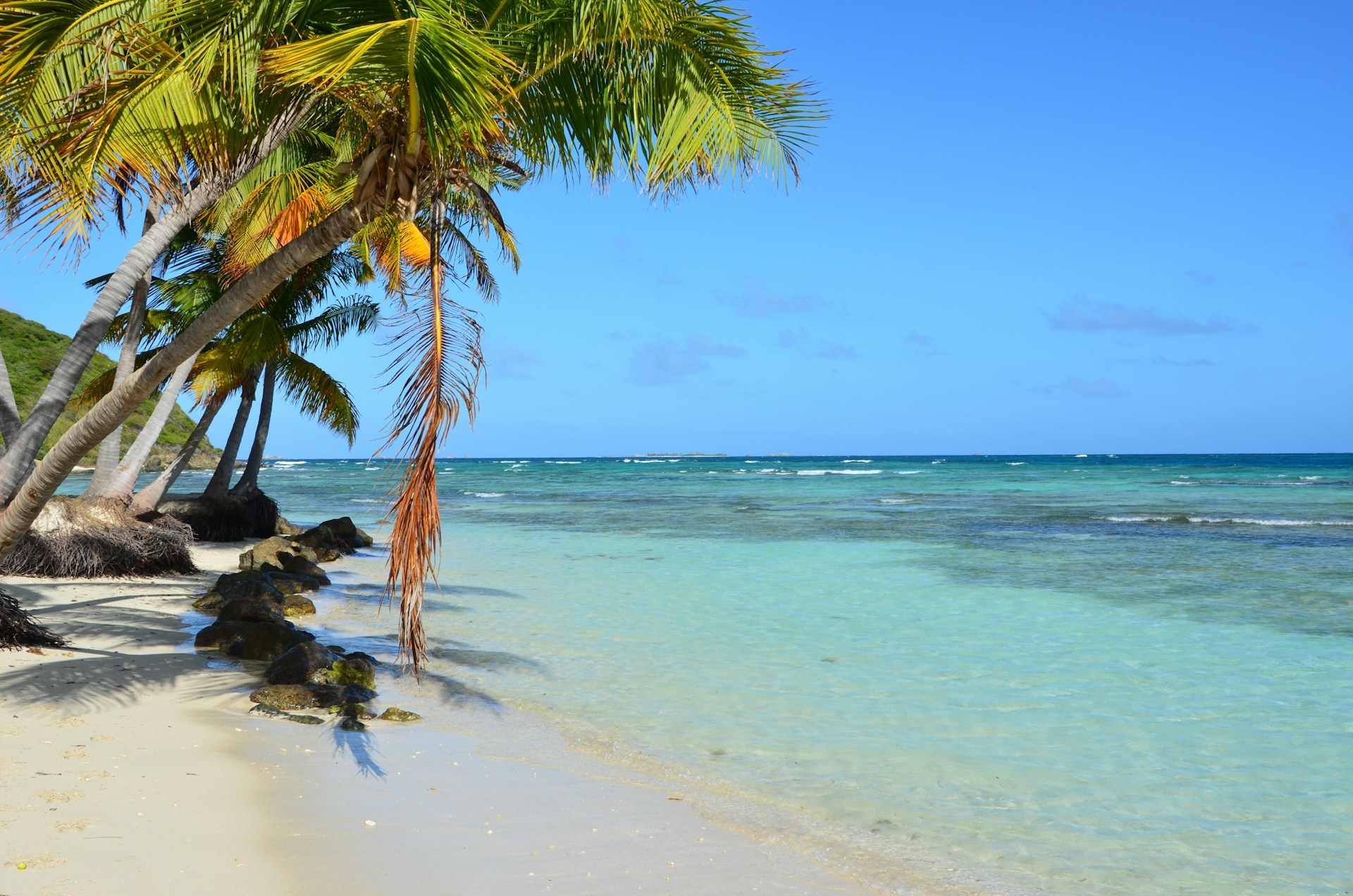 Palm trees and turquoise water on a sunny beach.