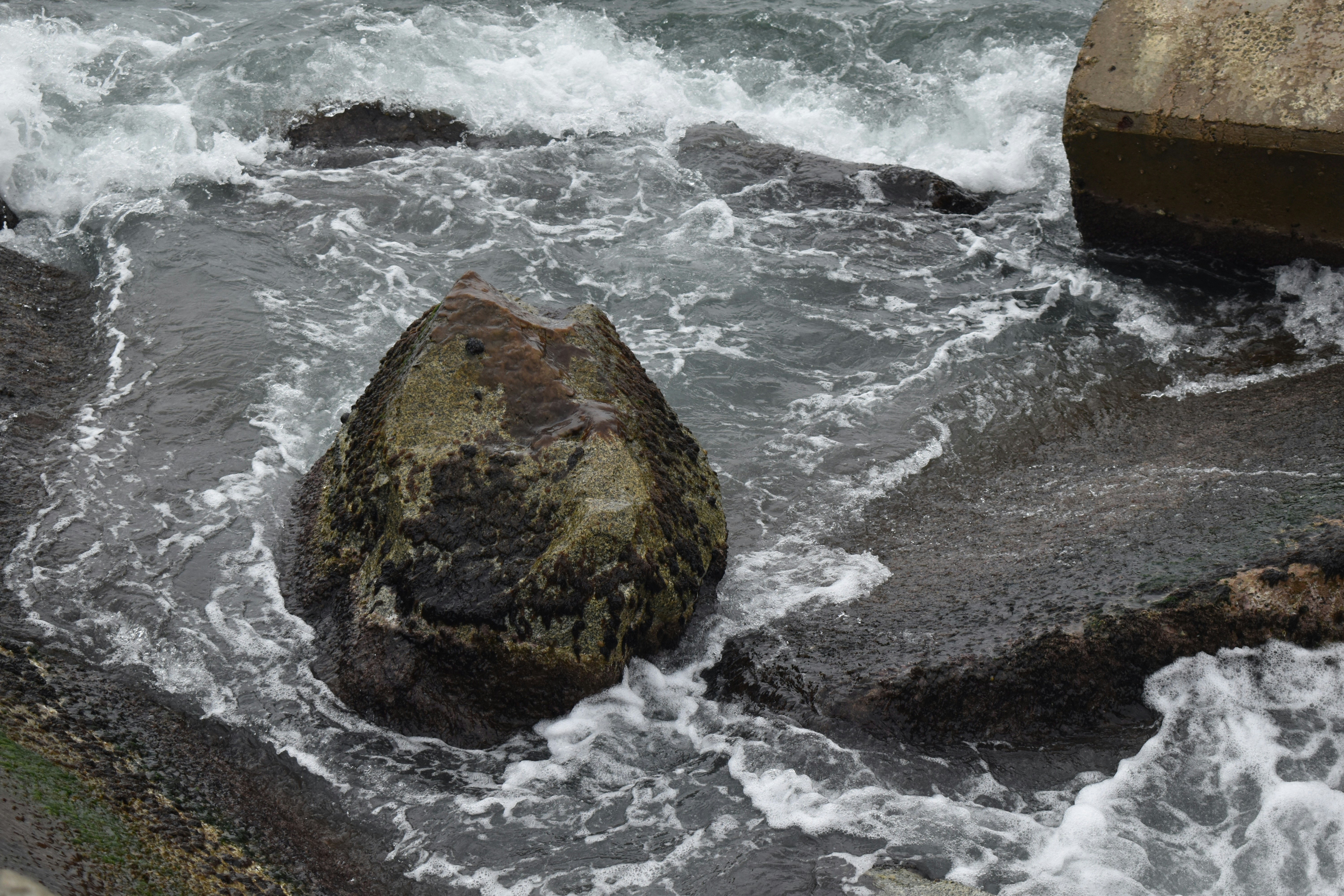 Photo by niloufarmirhadi