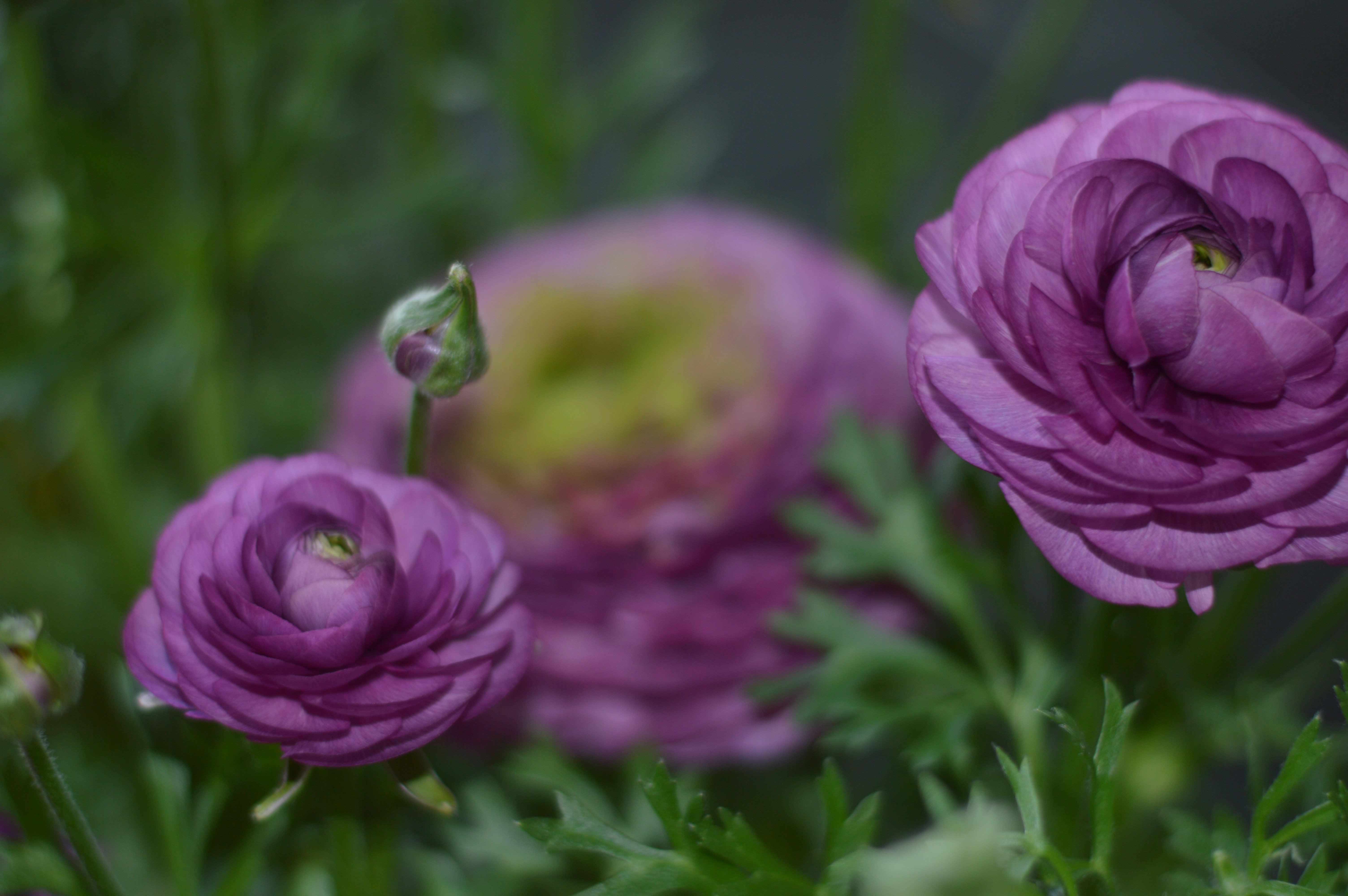Photo by natellk