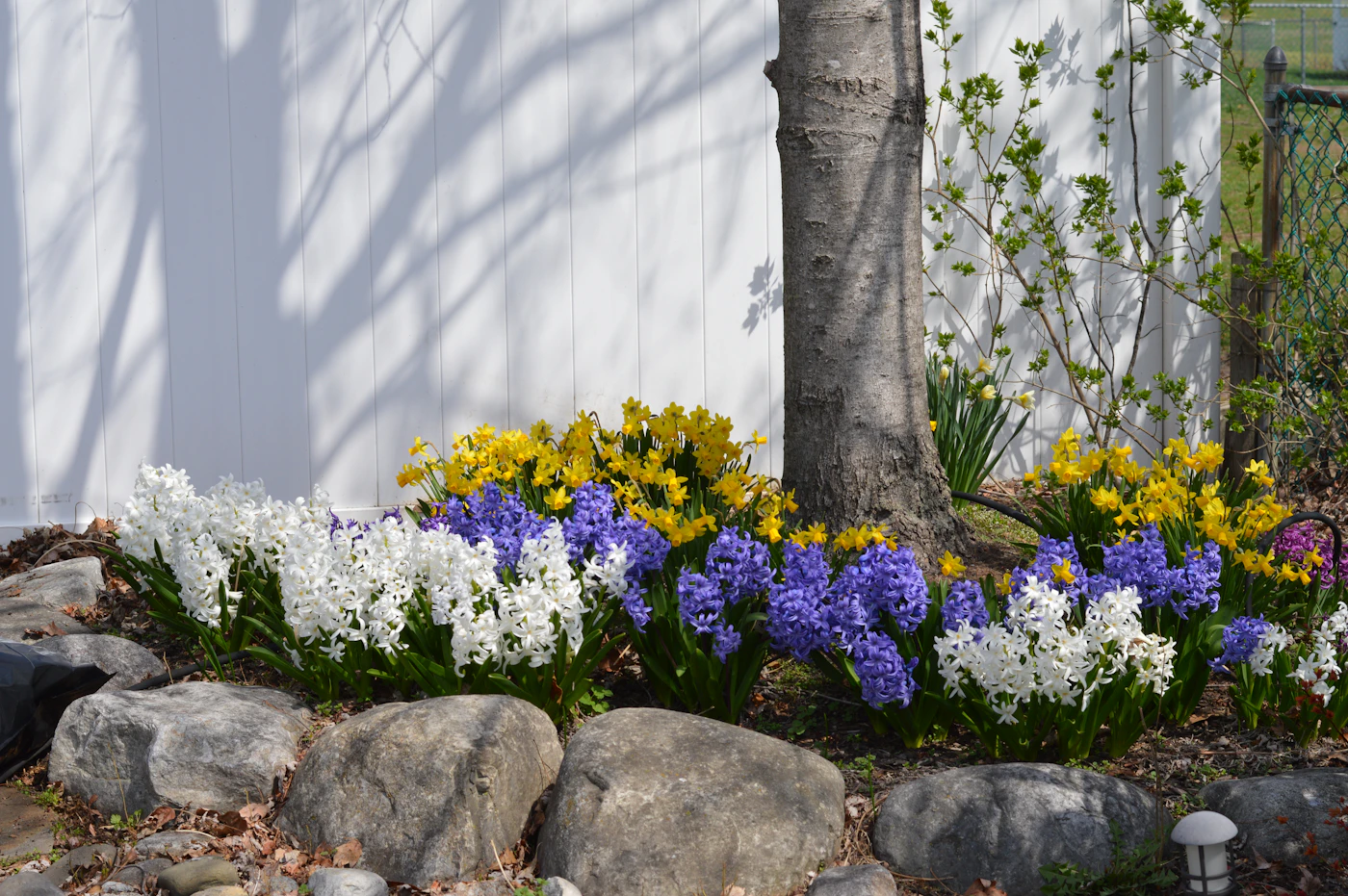 Mixed perennial border with ornamental grasses and native plantings — Nassau County garden design