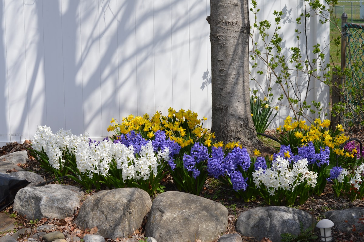 Crisp landscape bed edging along a lawn