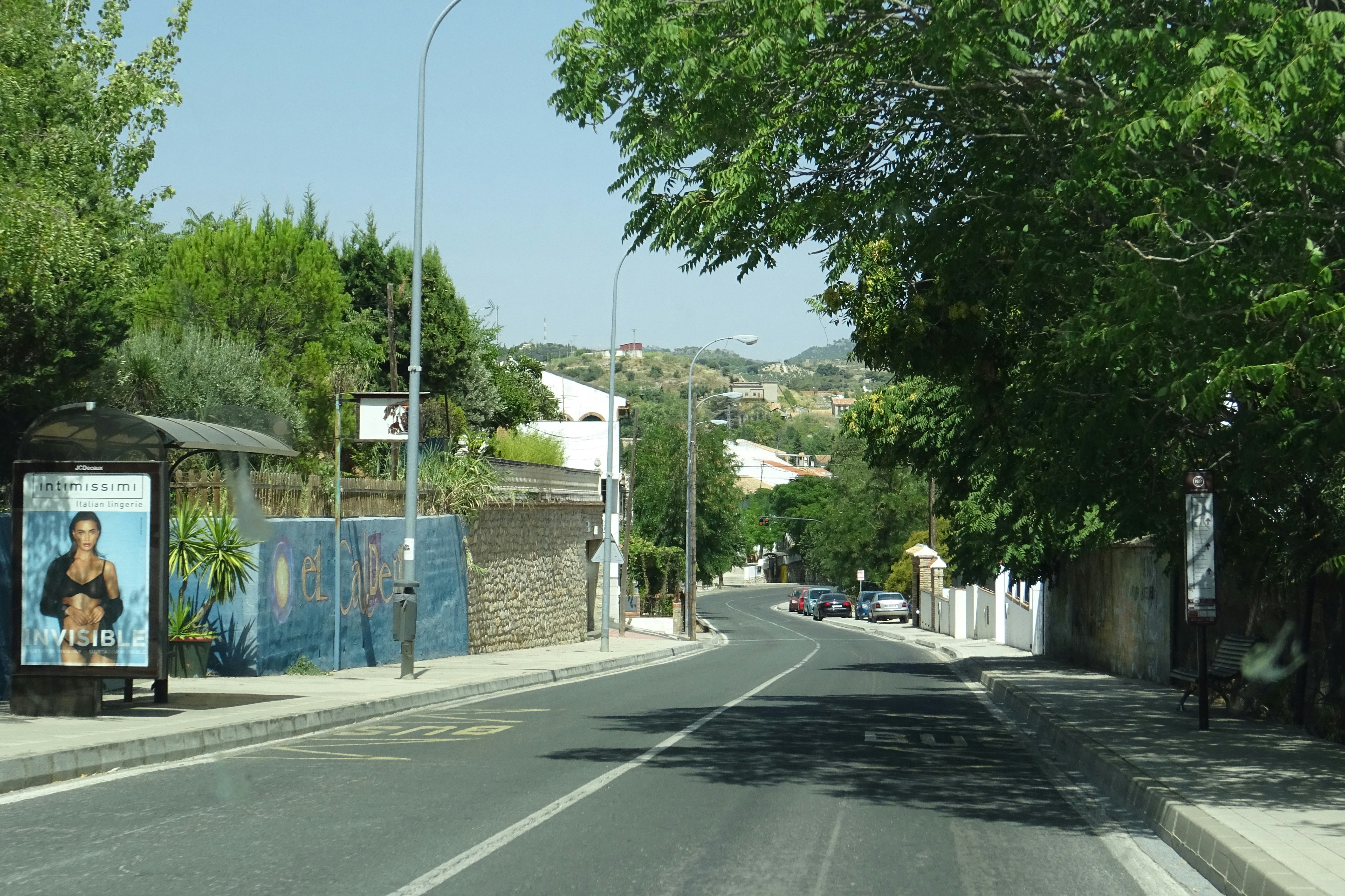 A road curves through a sunny, tree-lined street.