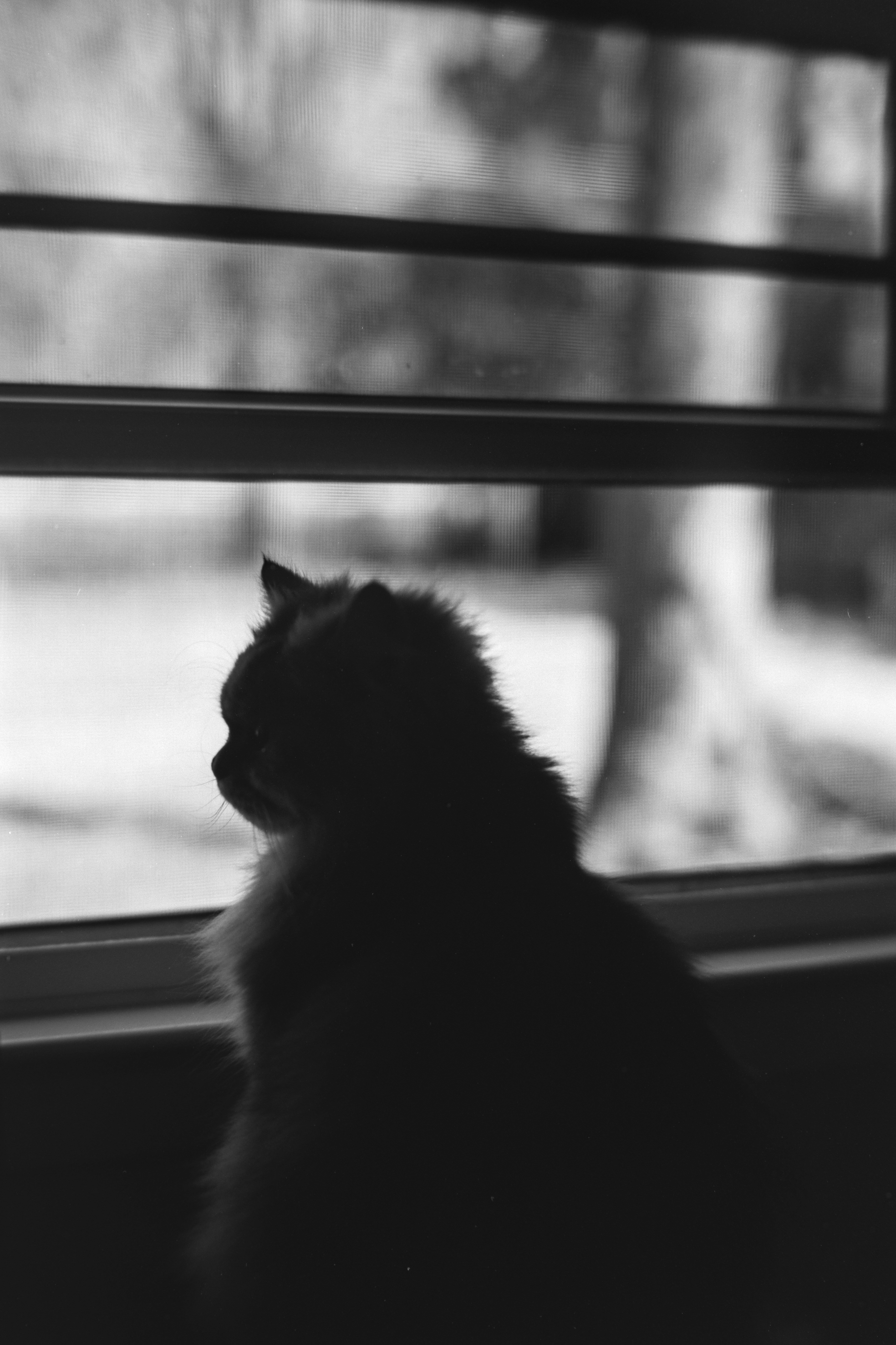 Photo by christianbalentine