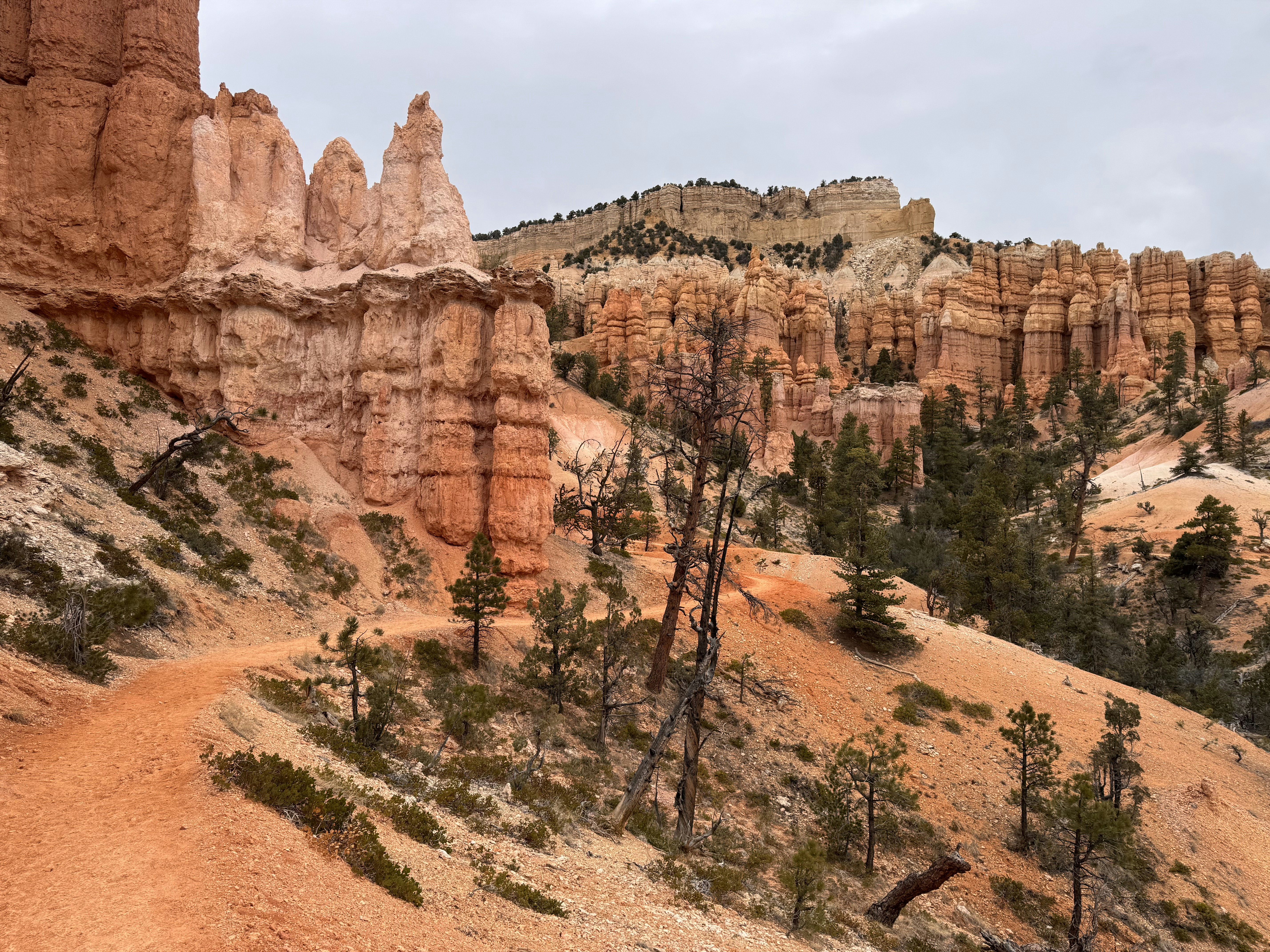 Photo by _boulderken