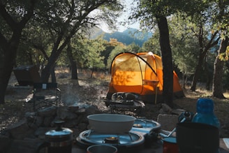 Camping and cooking amidst a scenic outdoor setting.