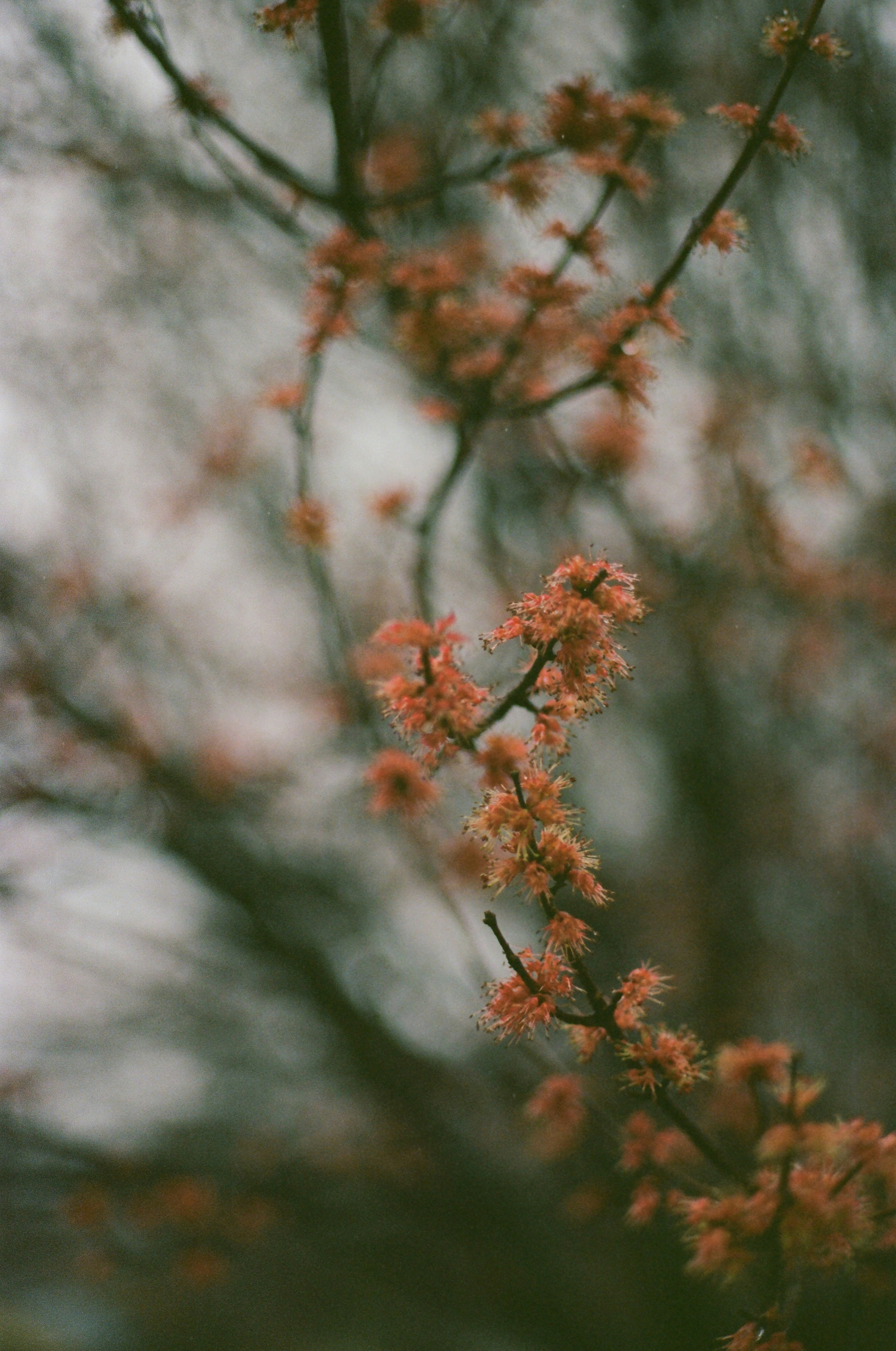 Photo by brookebalentine