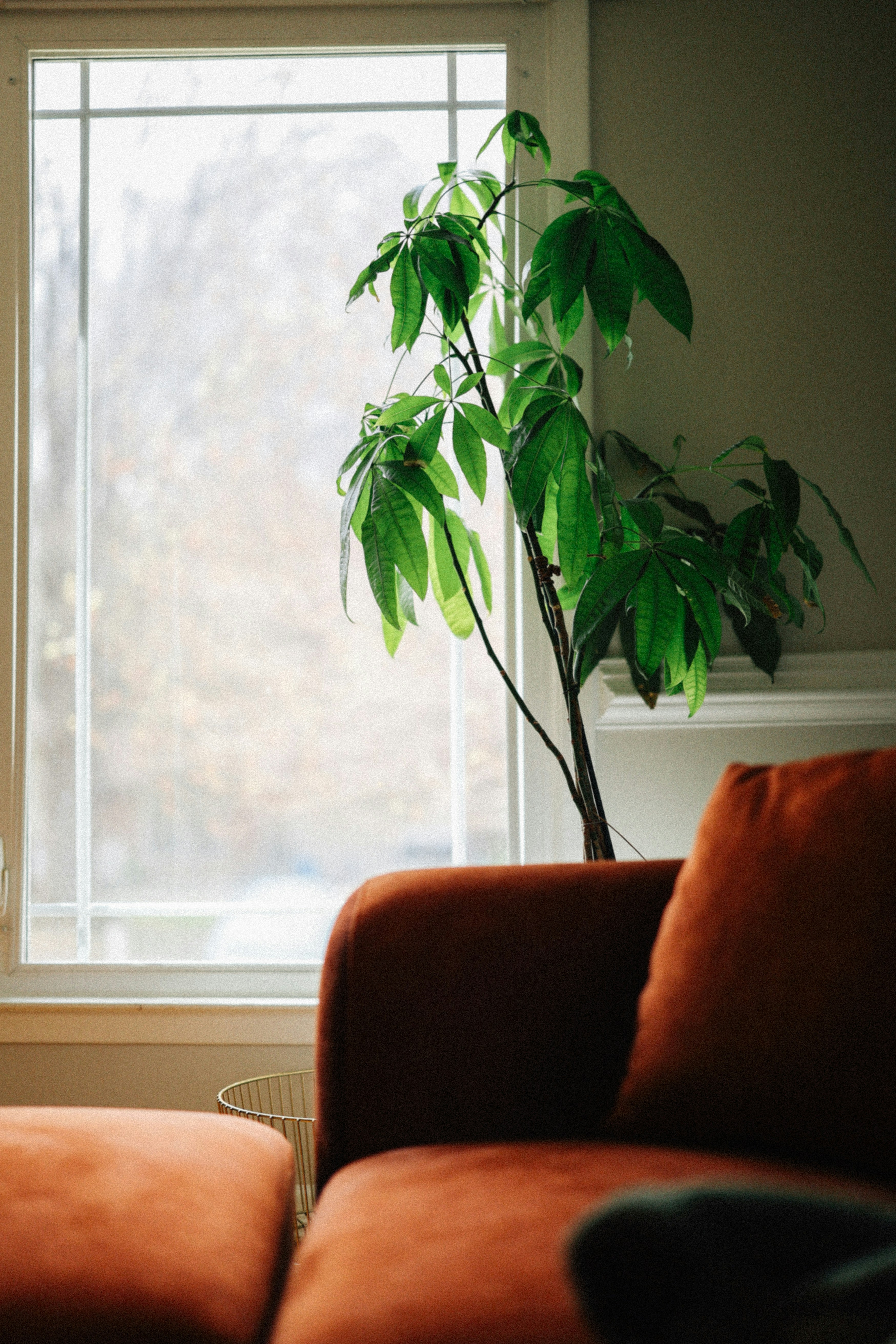 Photo by brookebalentine