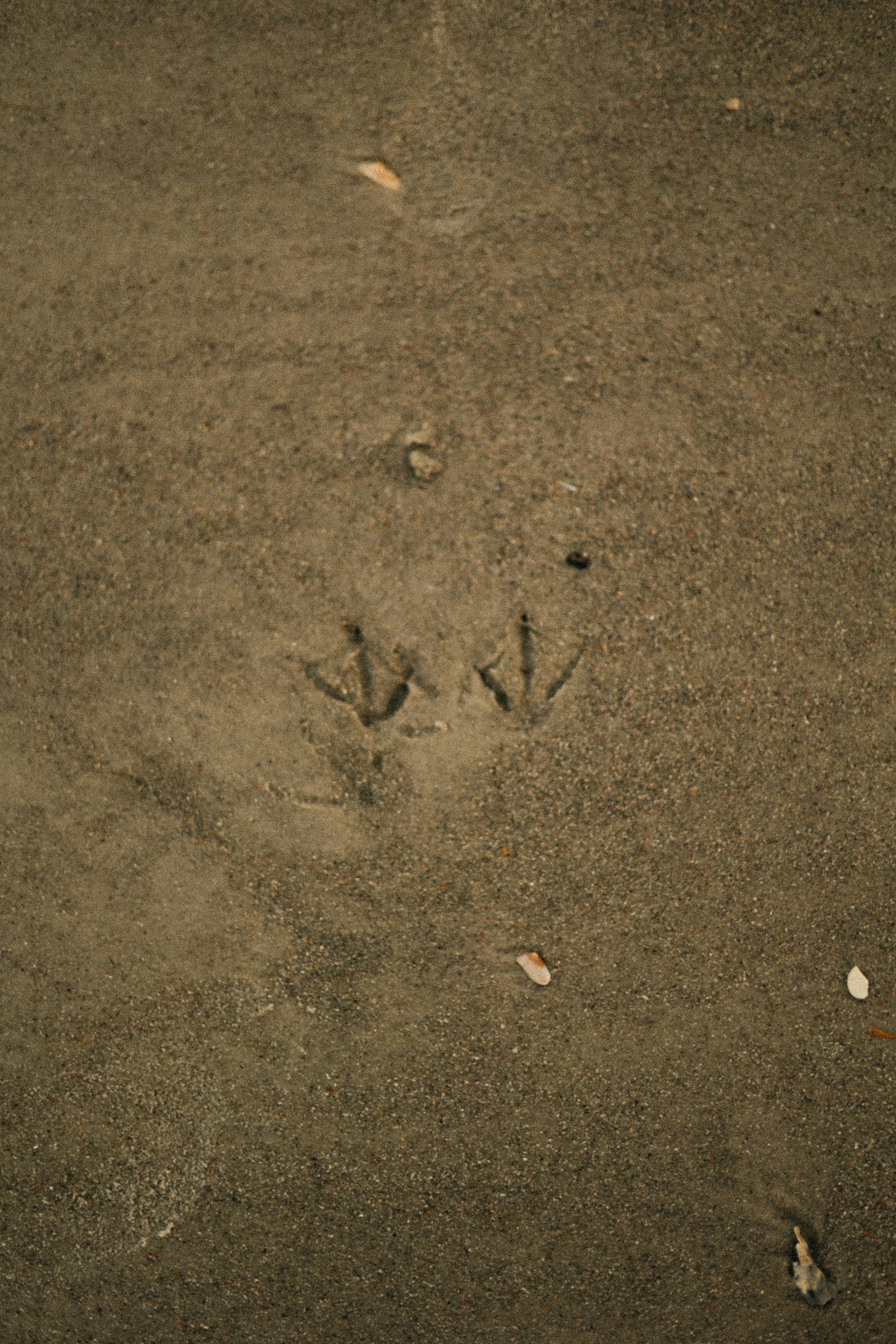 Photo by brookebalentine