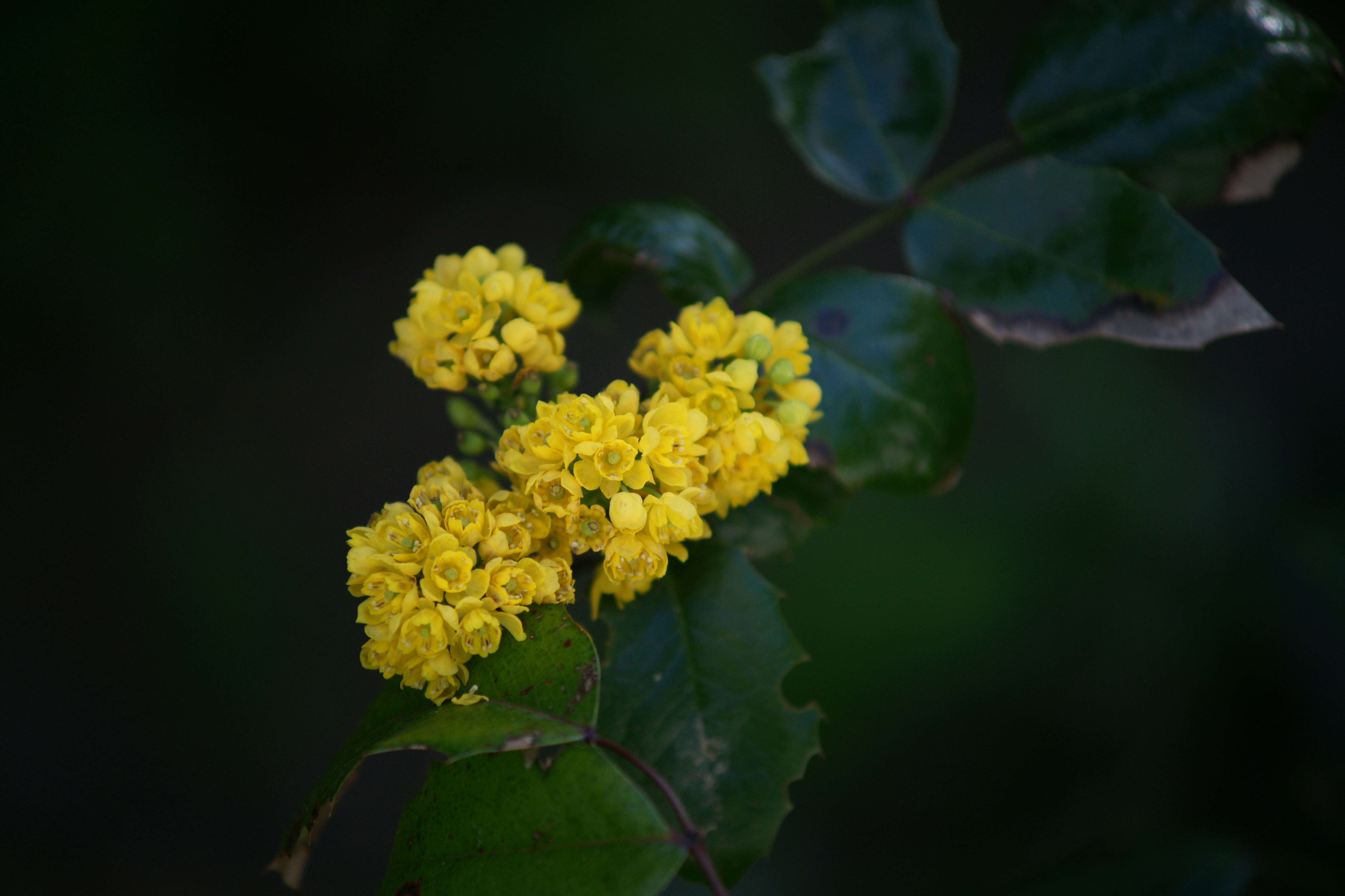 Photo by valeriography