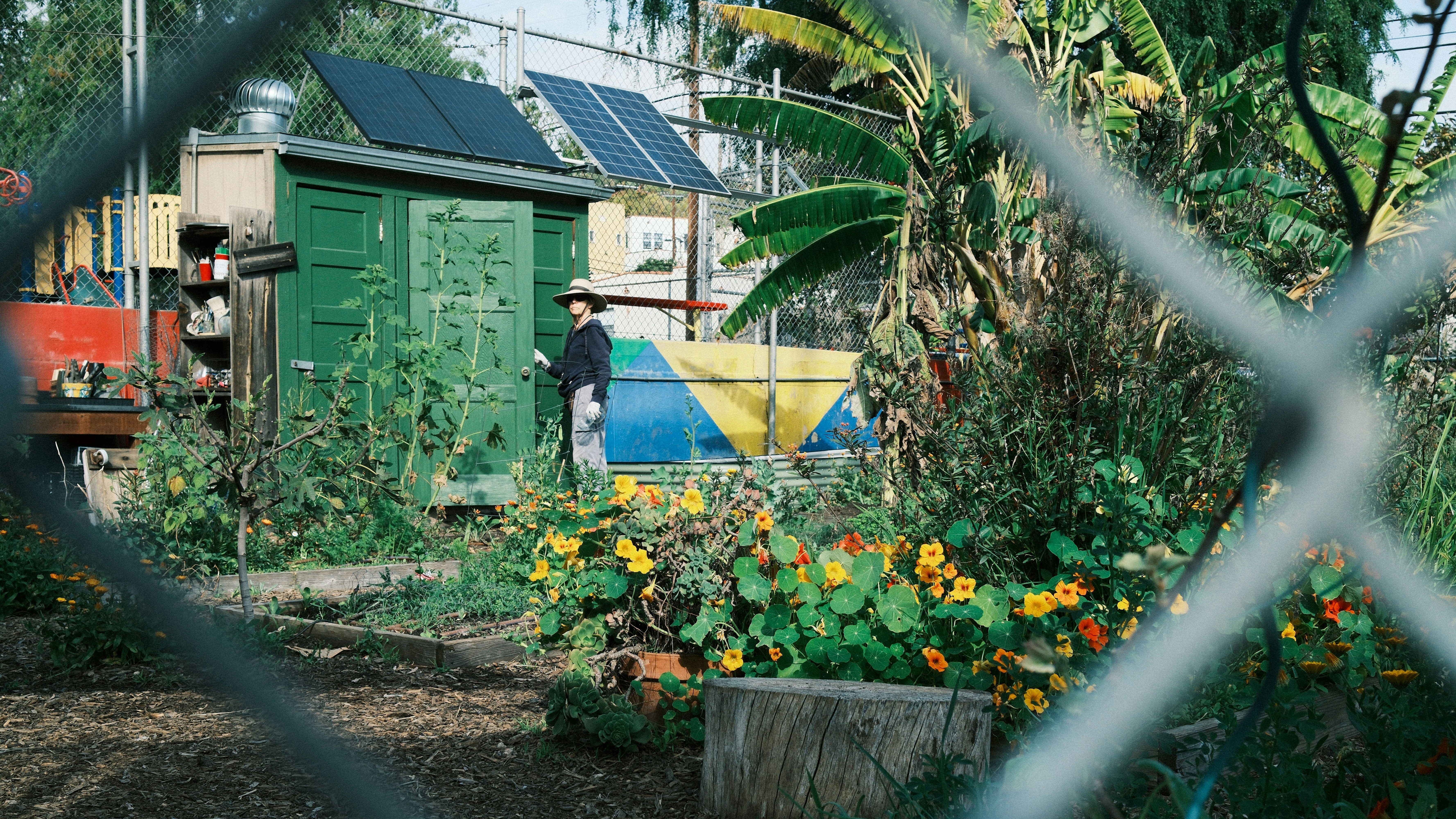 A person stands by a green building in a garden.