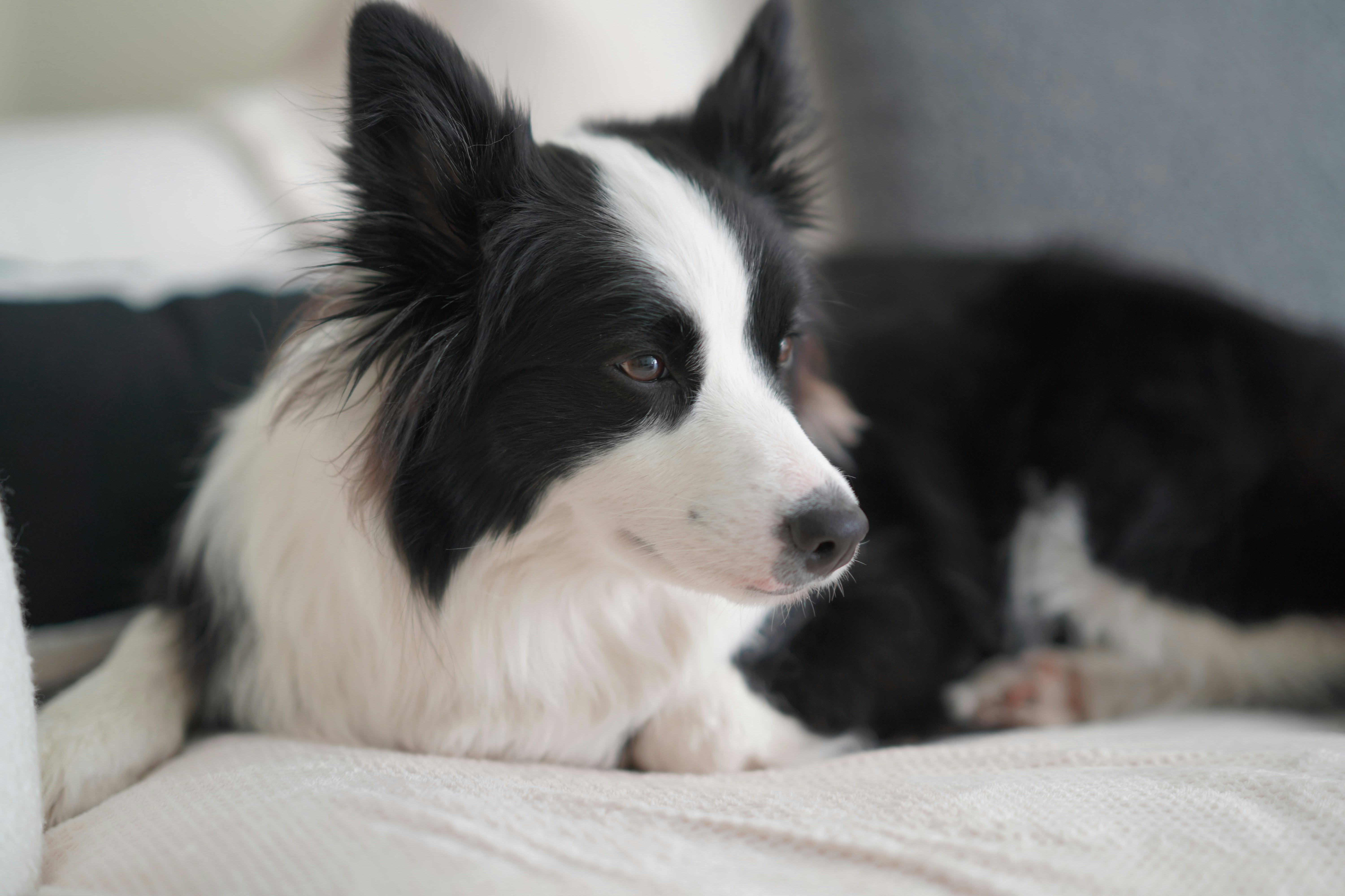 What You Can Do to Support Better Lounge Habits