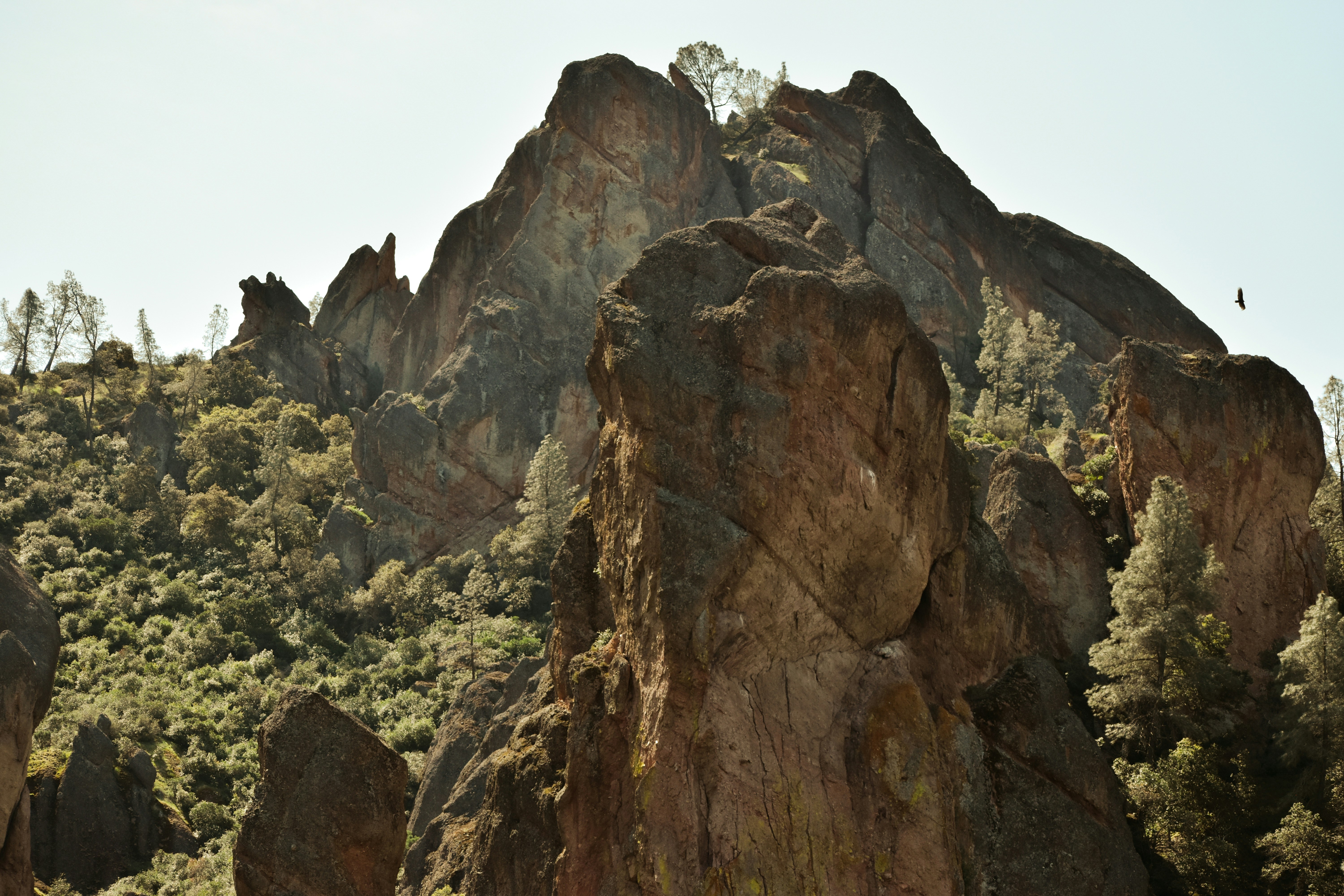 Jagged rock formations and lush greenery fill the scene.