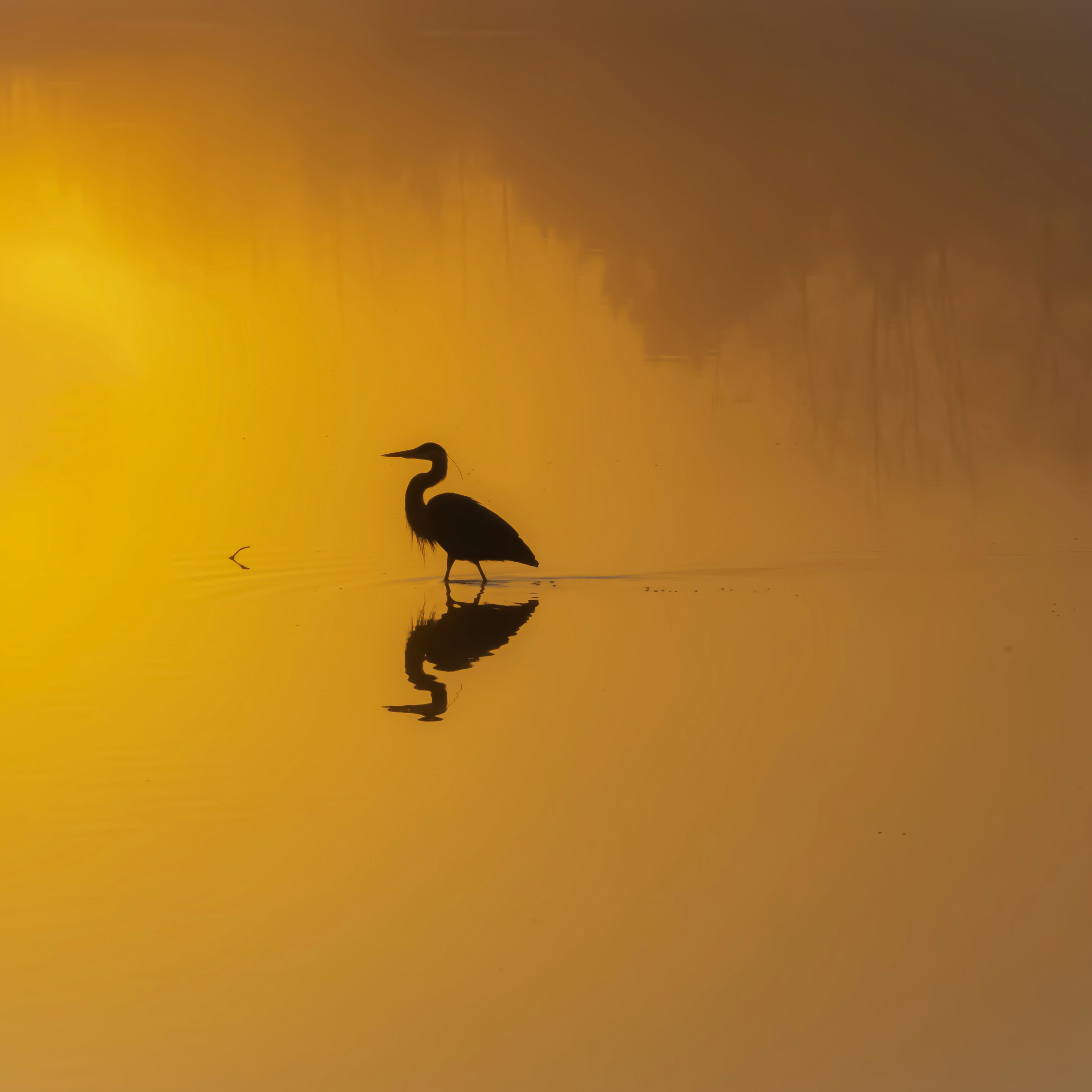 2025-09-04 - 曾經很在乎那些評論與觀點

但是在經過多次的風浪之後

才知道原來自己已經克服了那麼多路程

而這些經歷才是給我存在的養分

所以想說什麼就隨便你們吧</