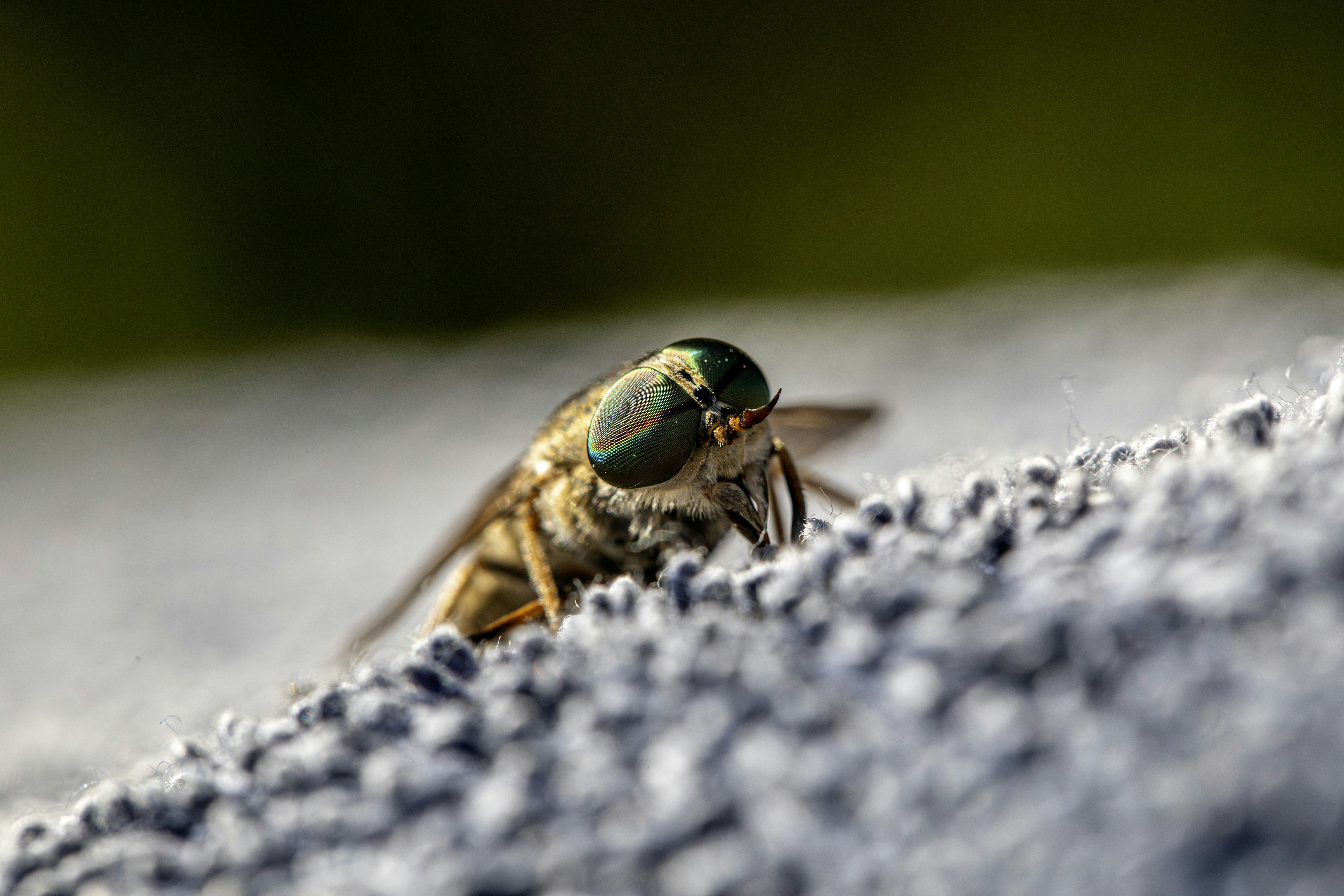 Photo by erik_karits