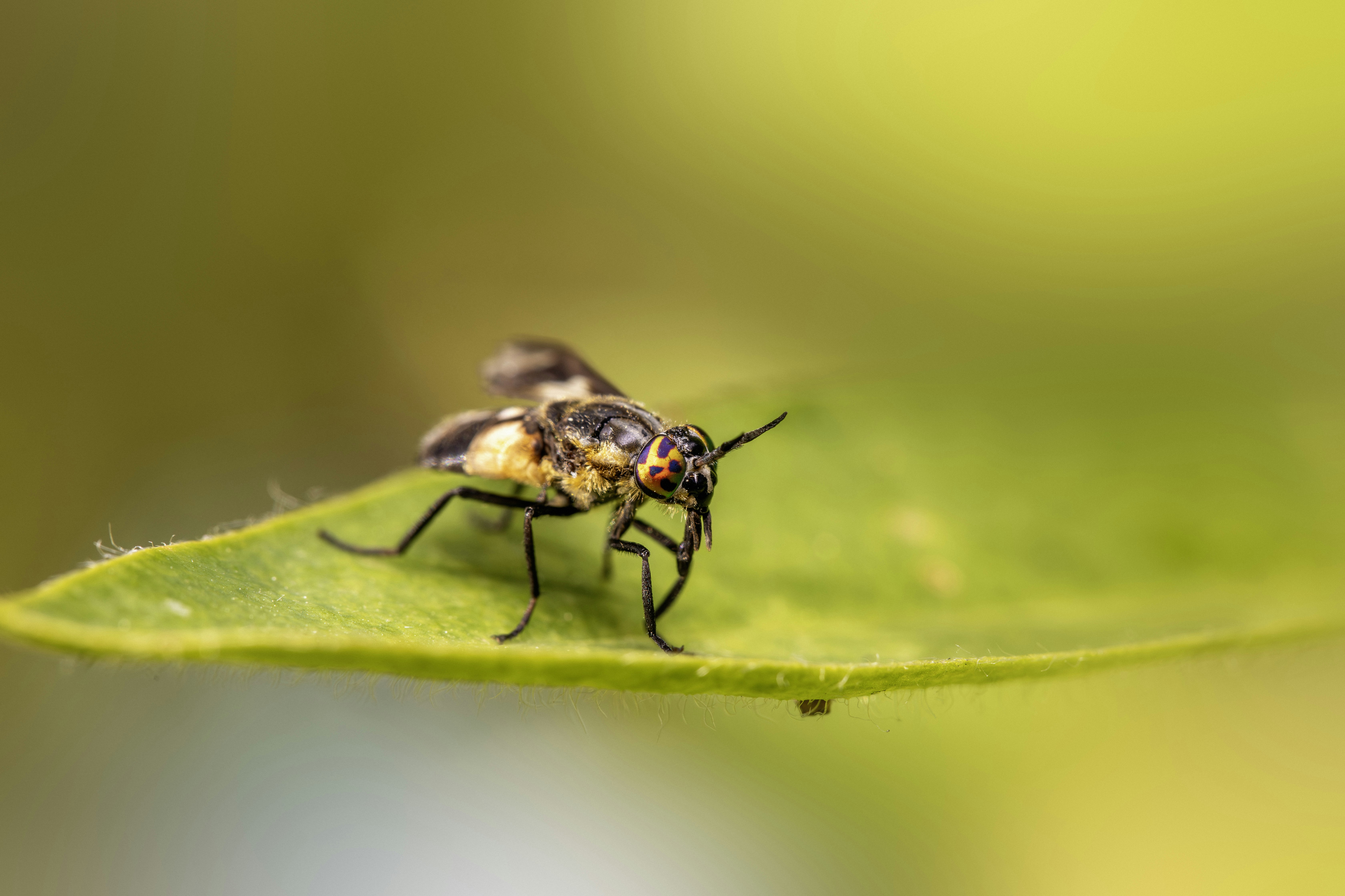 Photo by erik_karits