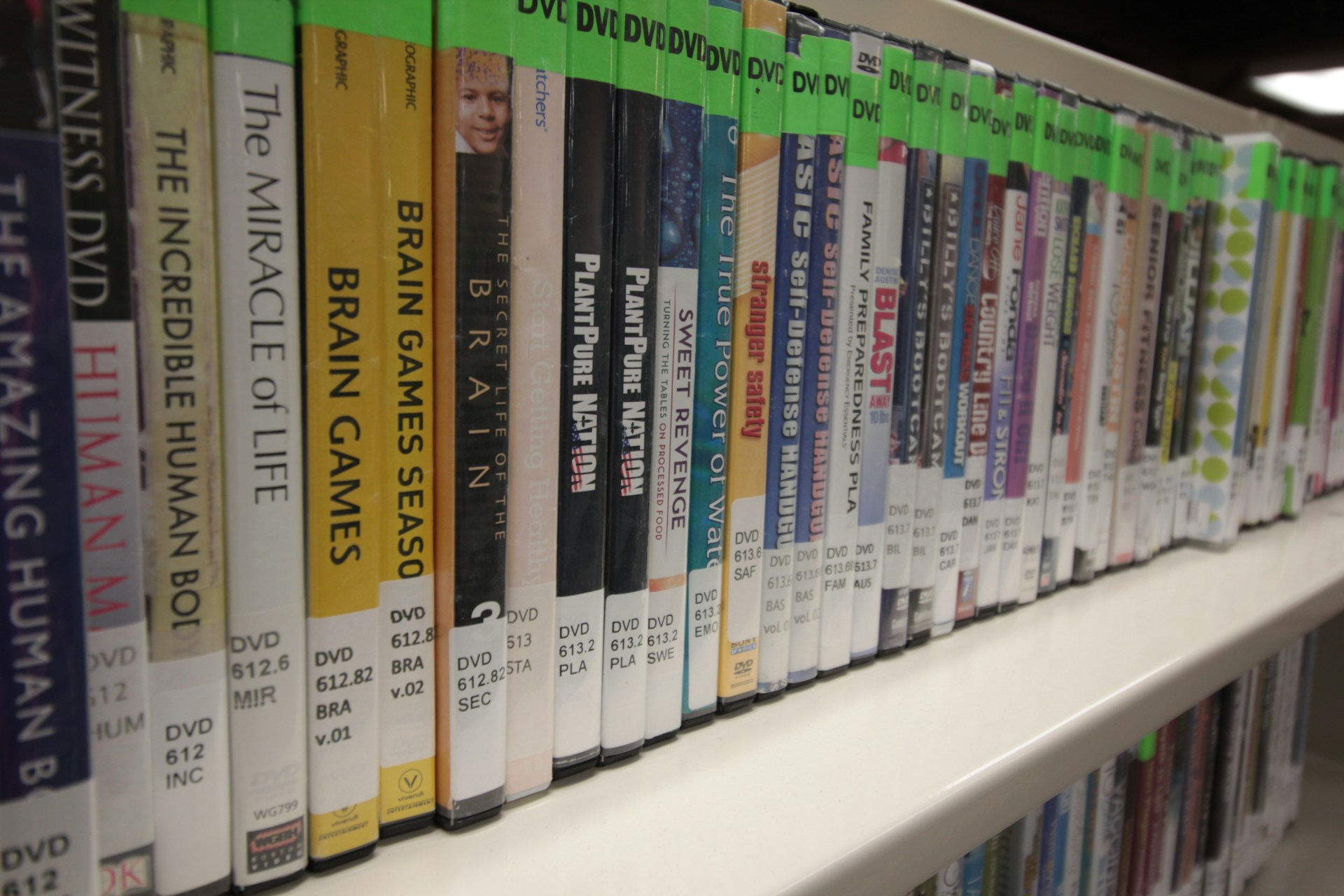 Dvds are neatly arranged on a library shelf.