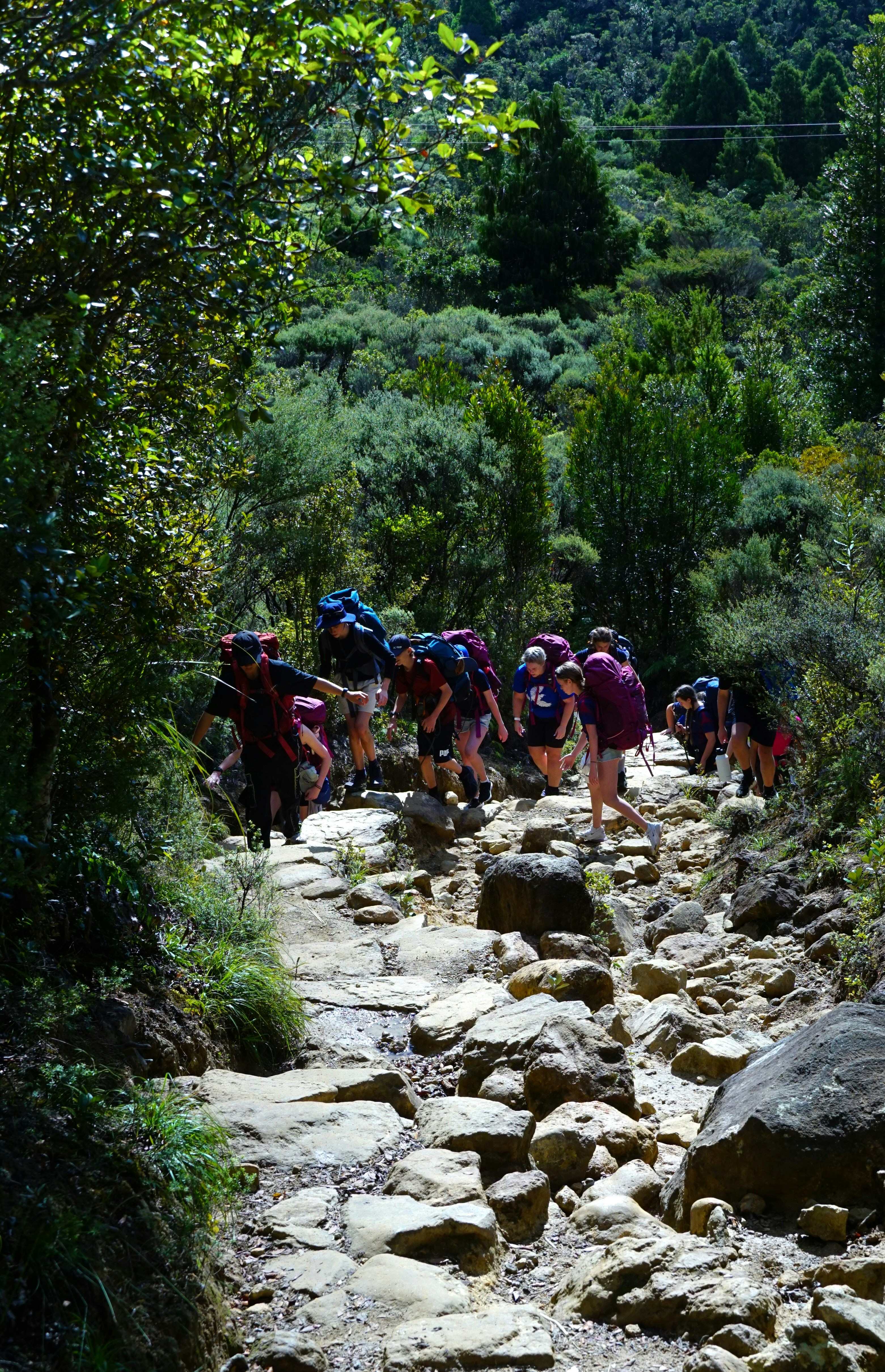 10 Inca Trail Tips for Safe Hydration & Water Gear