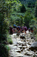 Hikers are climbing a rocky trail through nature.