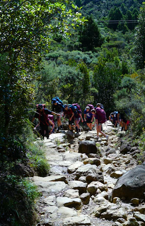 Hikers are climbing a rocky trail through nature.
