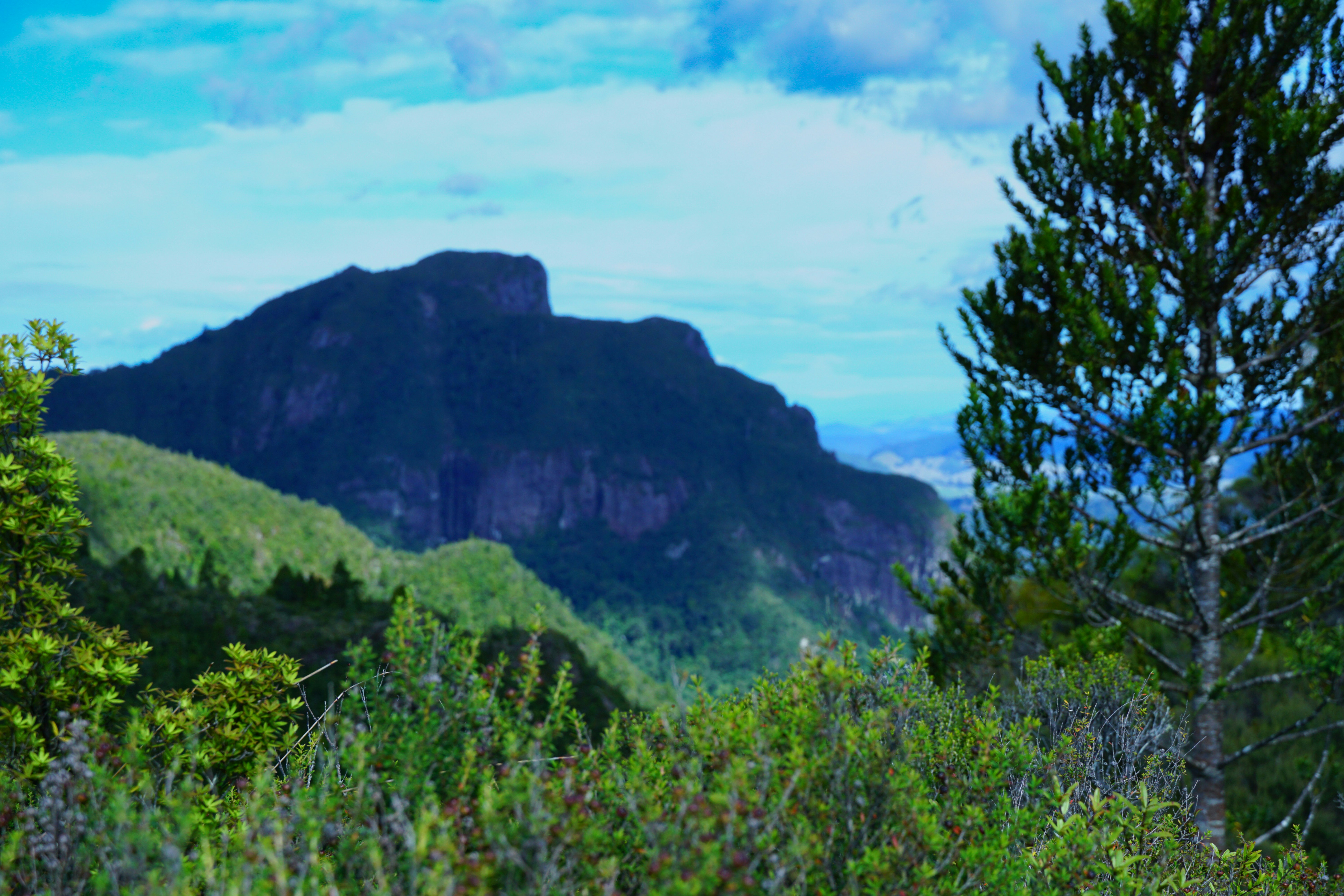 Photo by obscuration