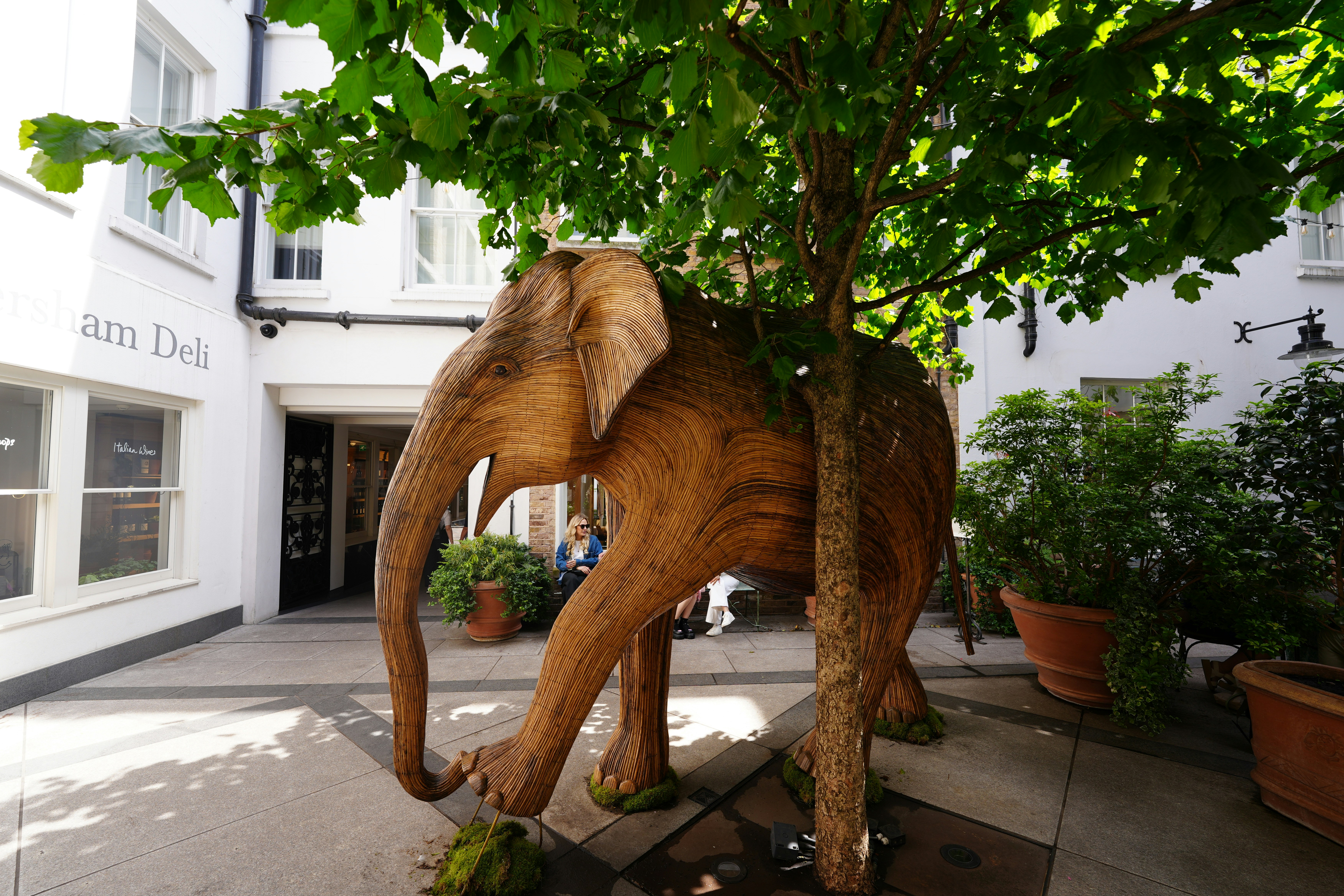 A wooden elephant statue stands under a tree.
