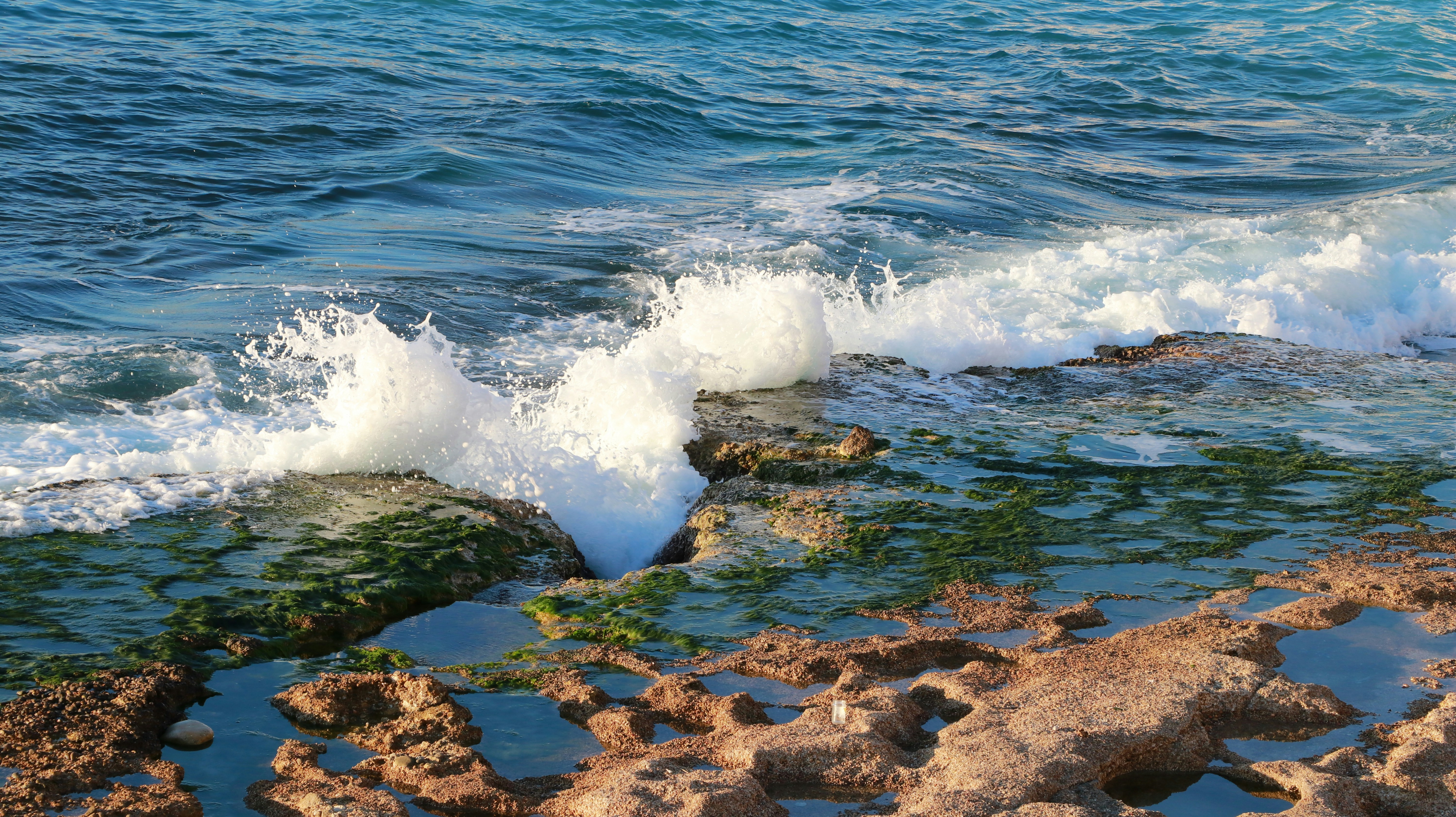 Photo by jack_harbieh