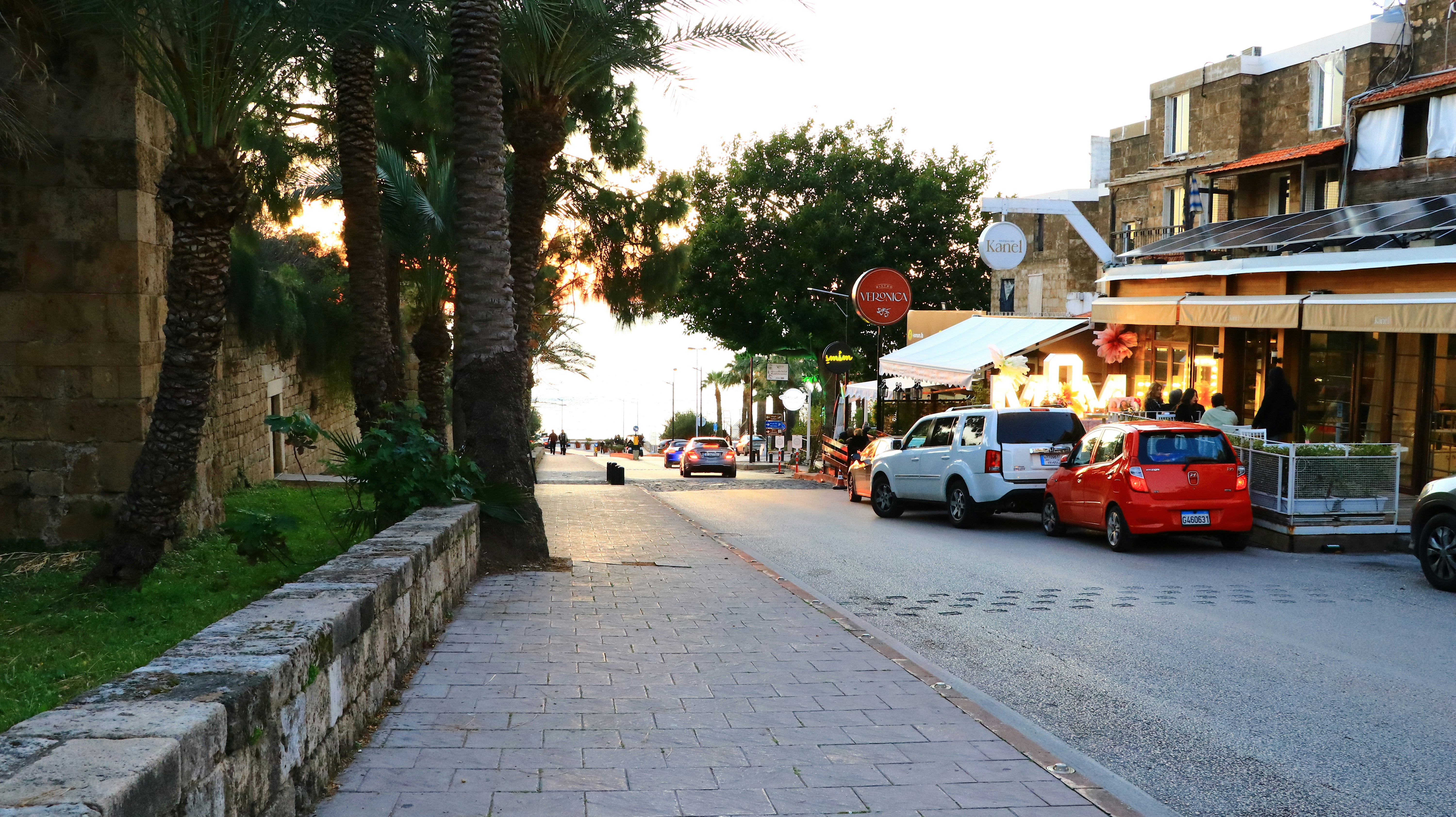 A street with buildings, cars, and palm trees.