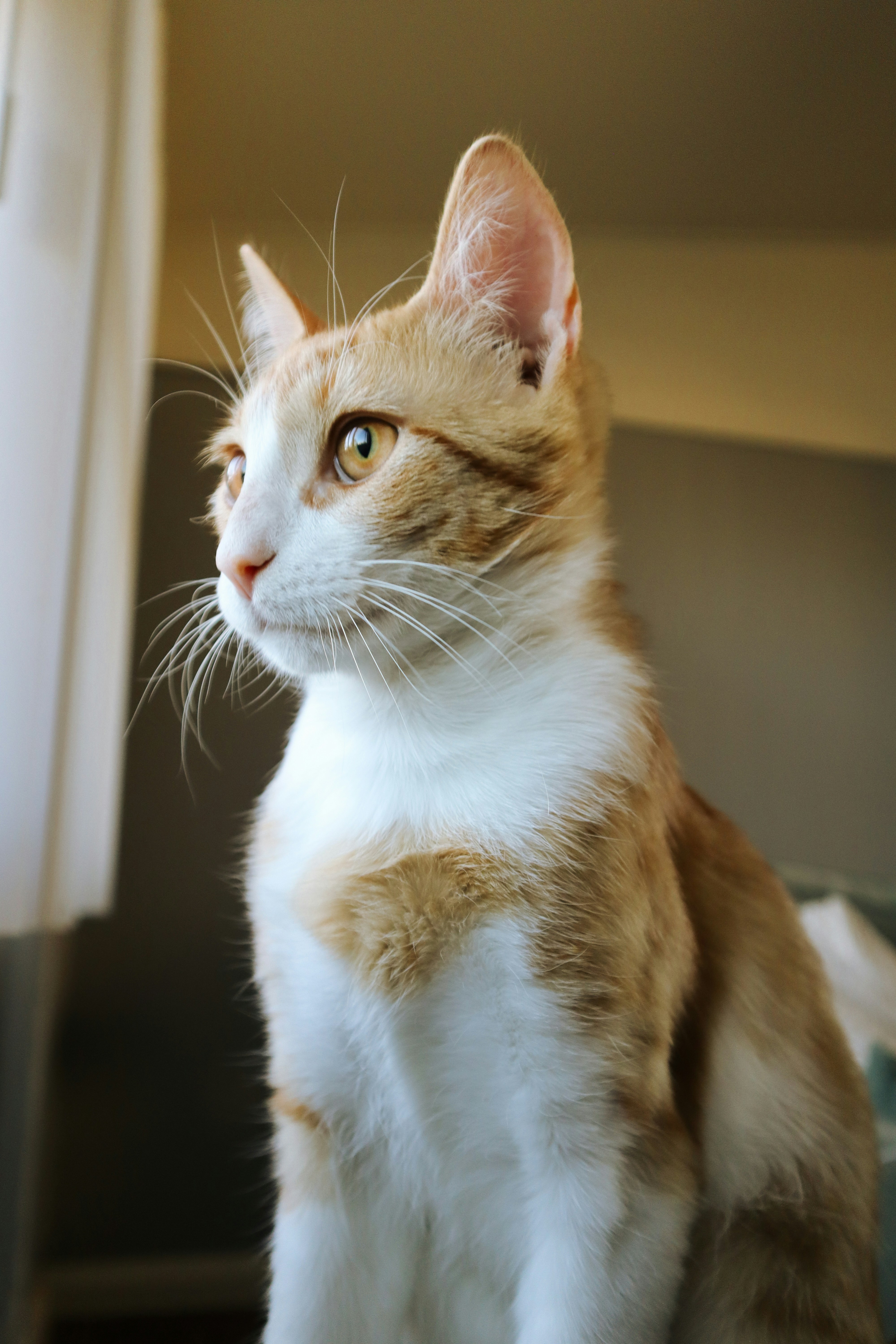 Photo by silviapgalan