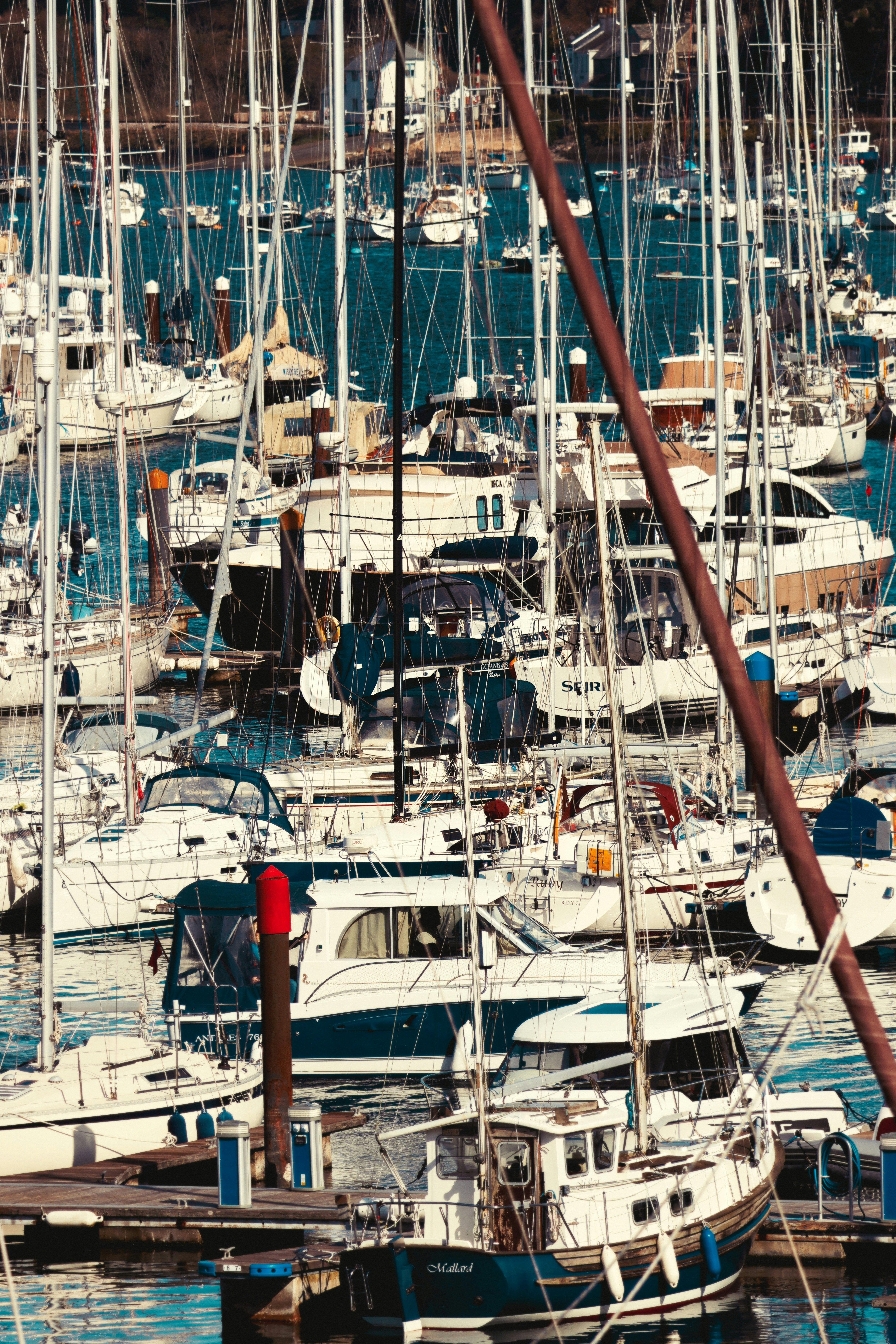 Photo by grievek1610begur