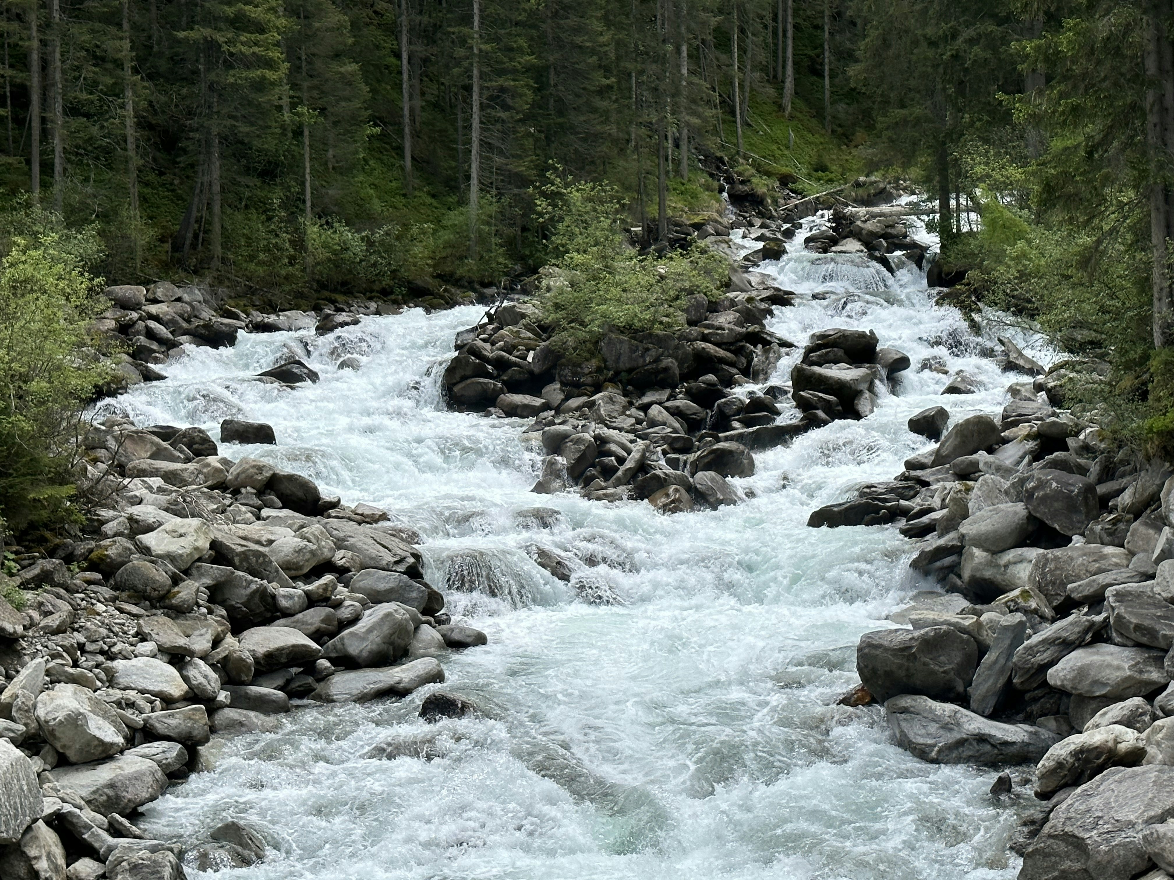 Photo by sergei_gussev