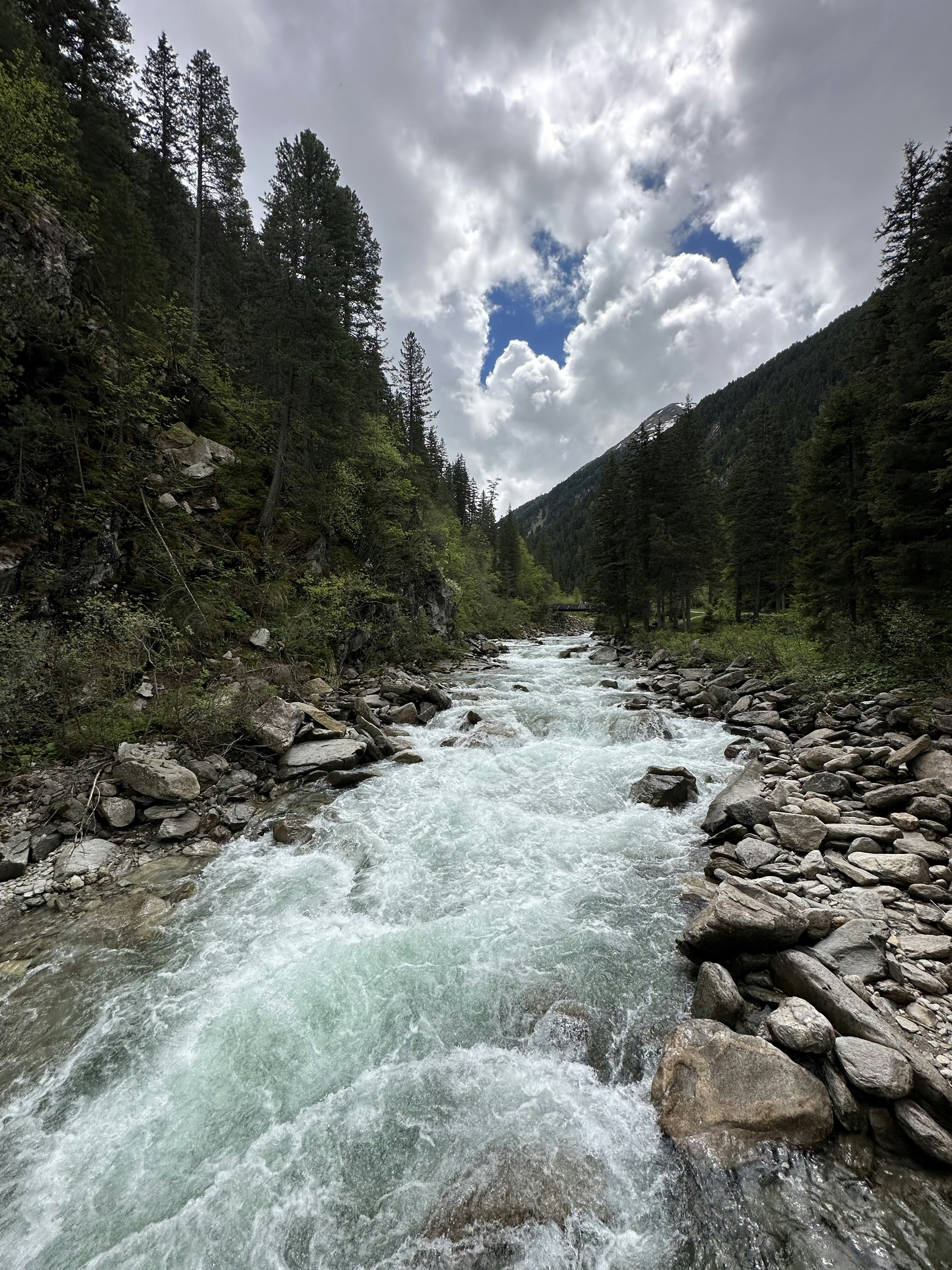 Photo by sergei_gussev