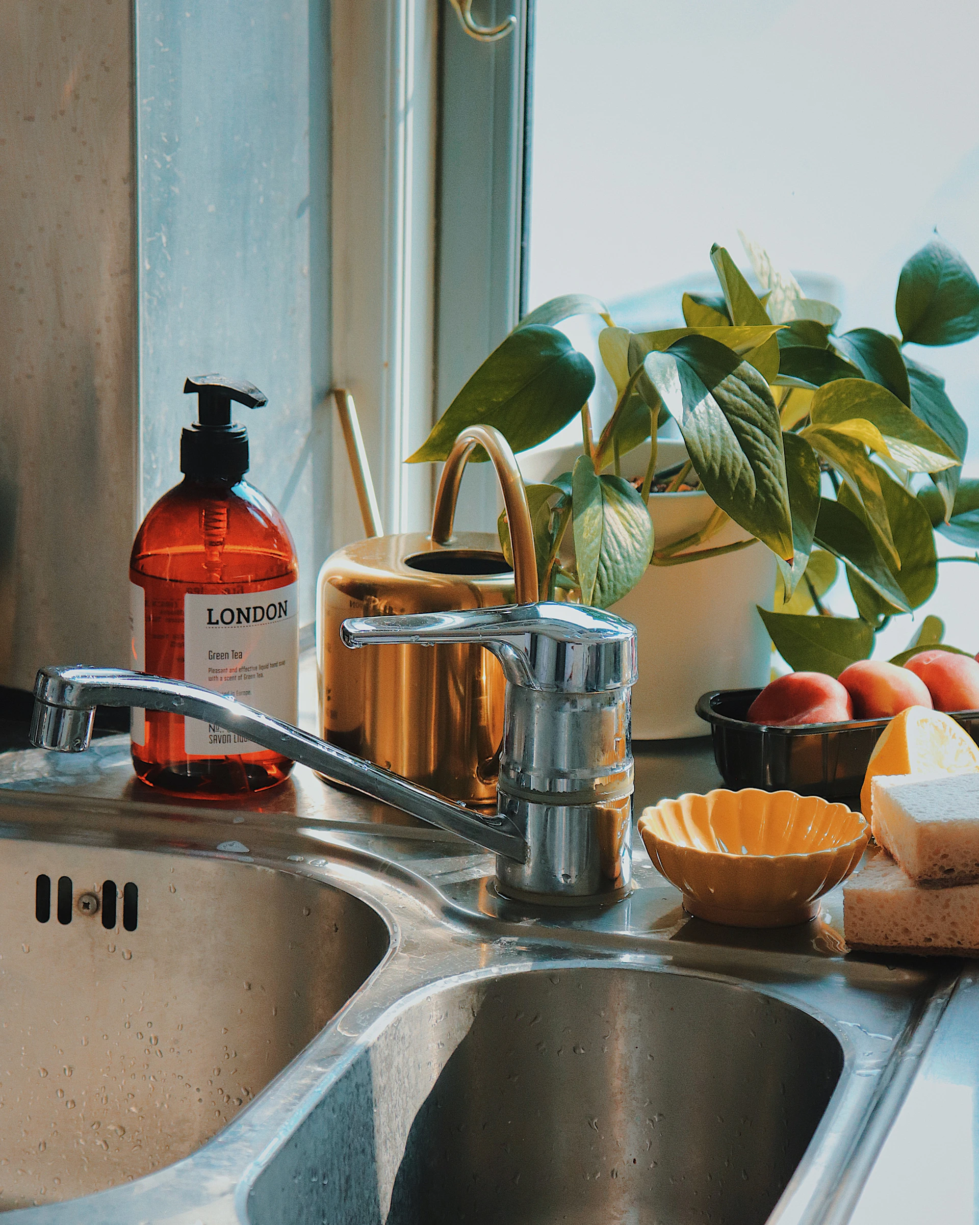 A stylish kitchen sink with soap and plants.