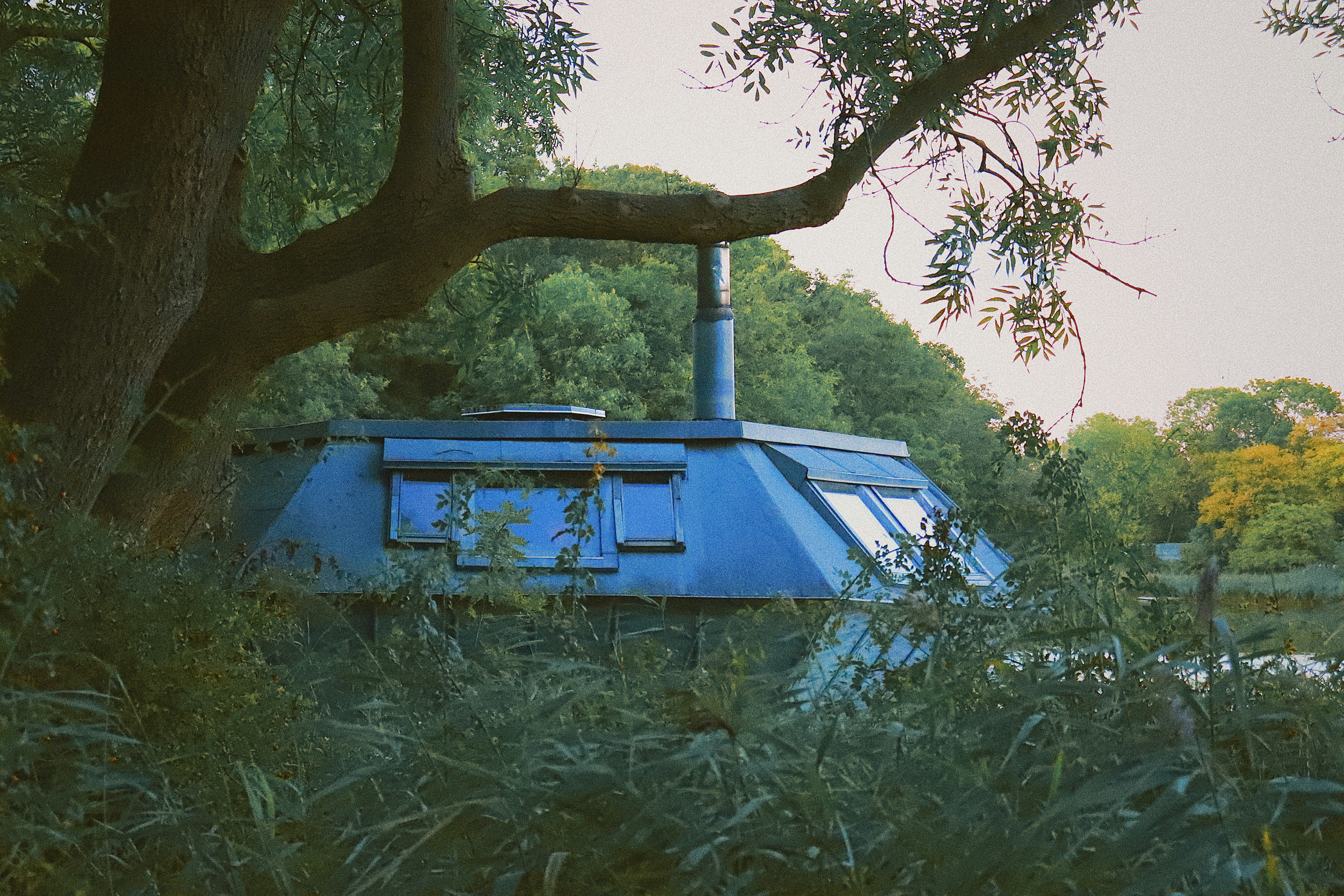A blue house in the woods.