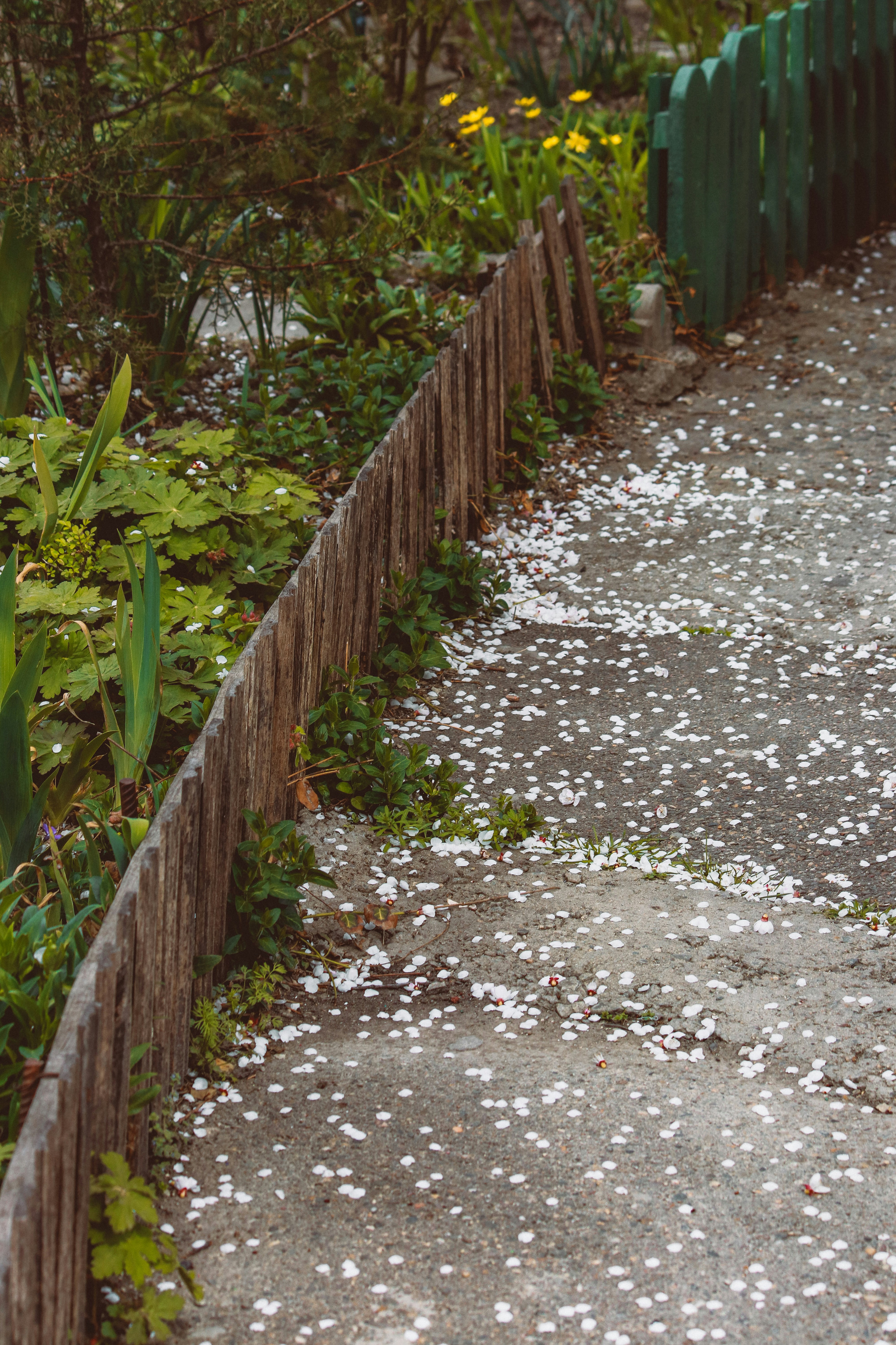 Background image for slide 1