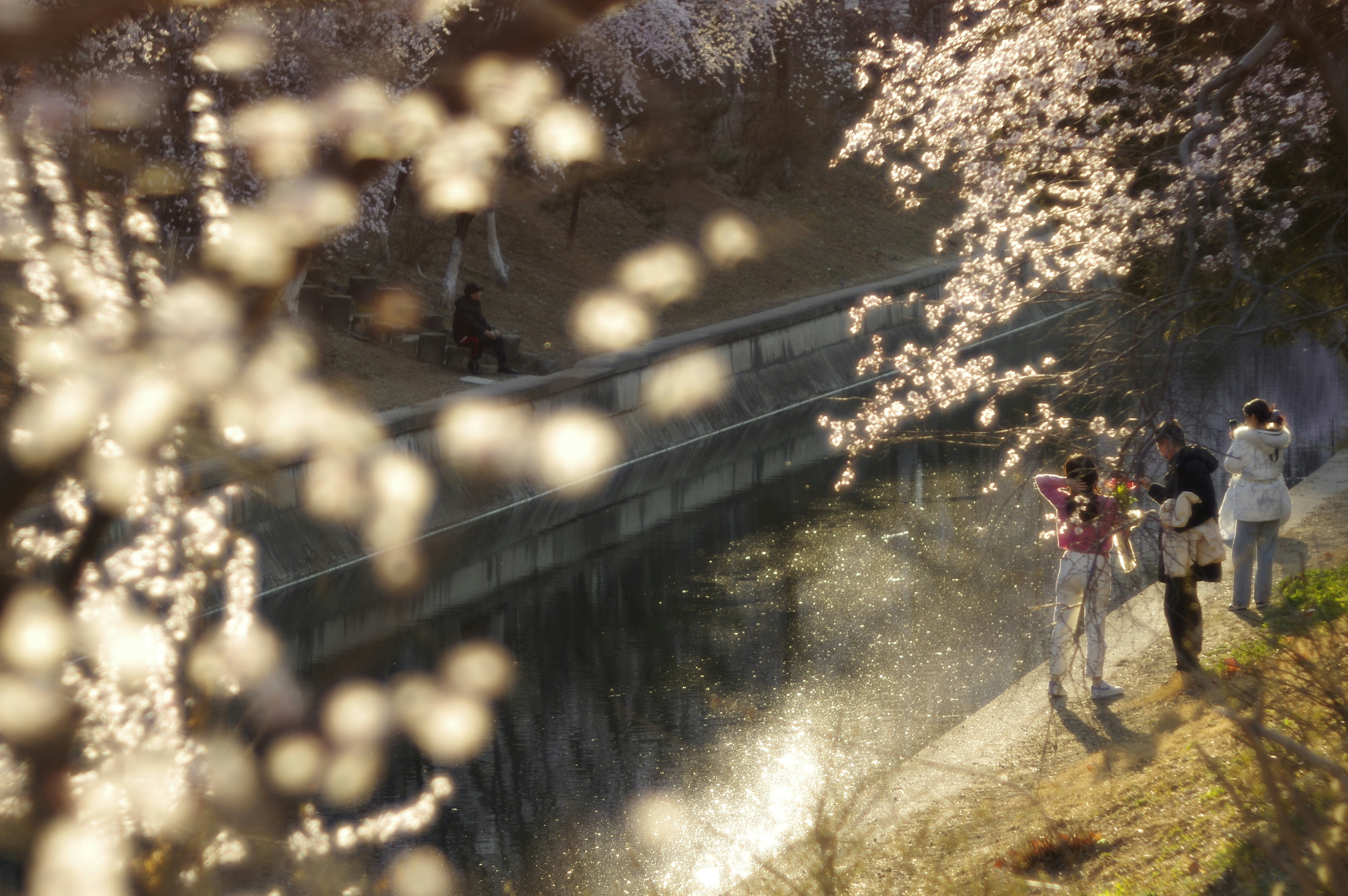 Anime 3D avatar used in live streaming showcasing digital identity creation