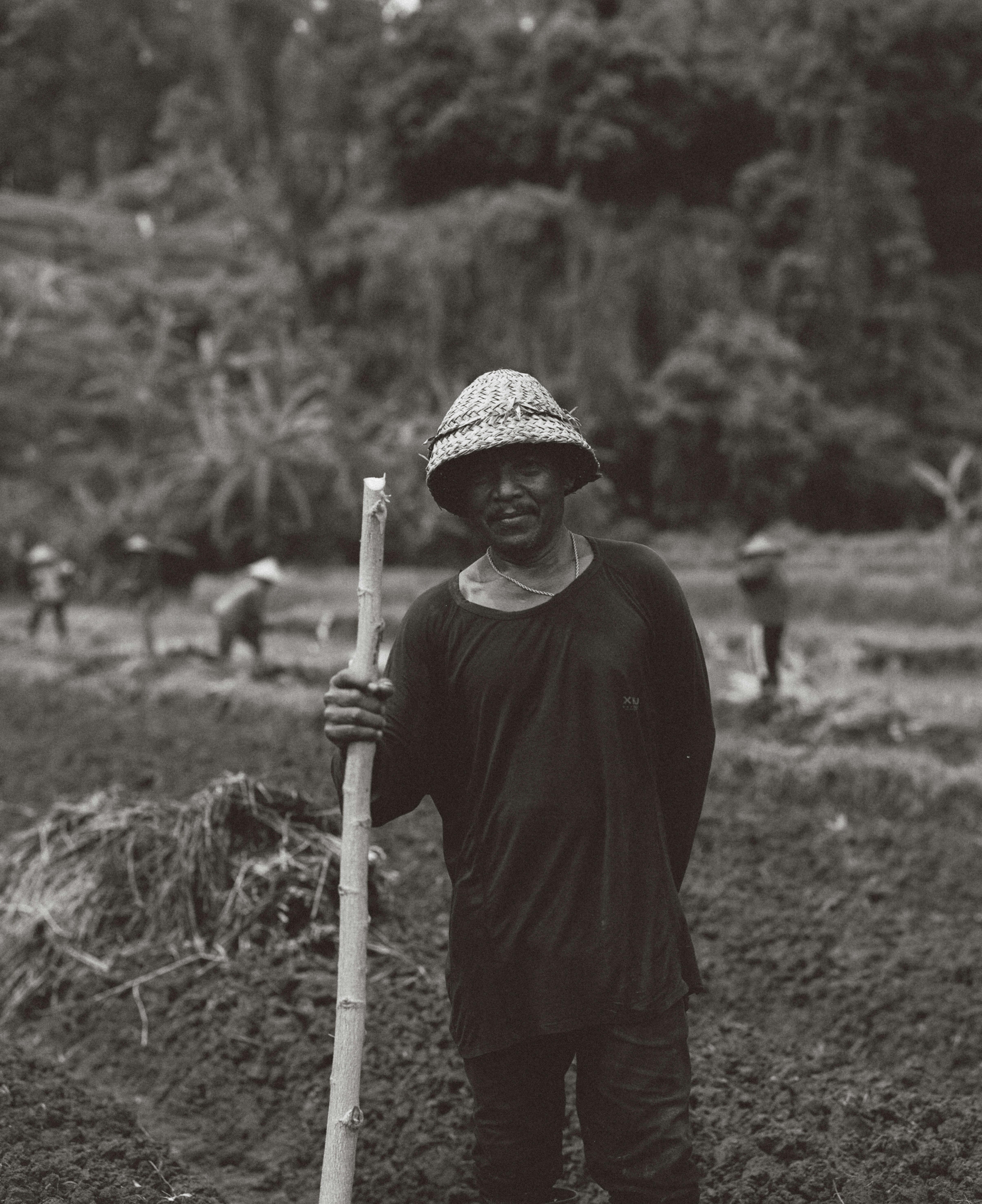 A farmer stands in a rice paddy.