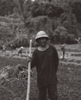 A farmer stands in a rice paddy.