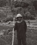 A farmer stands in a rice paddy.