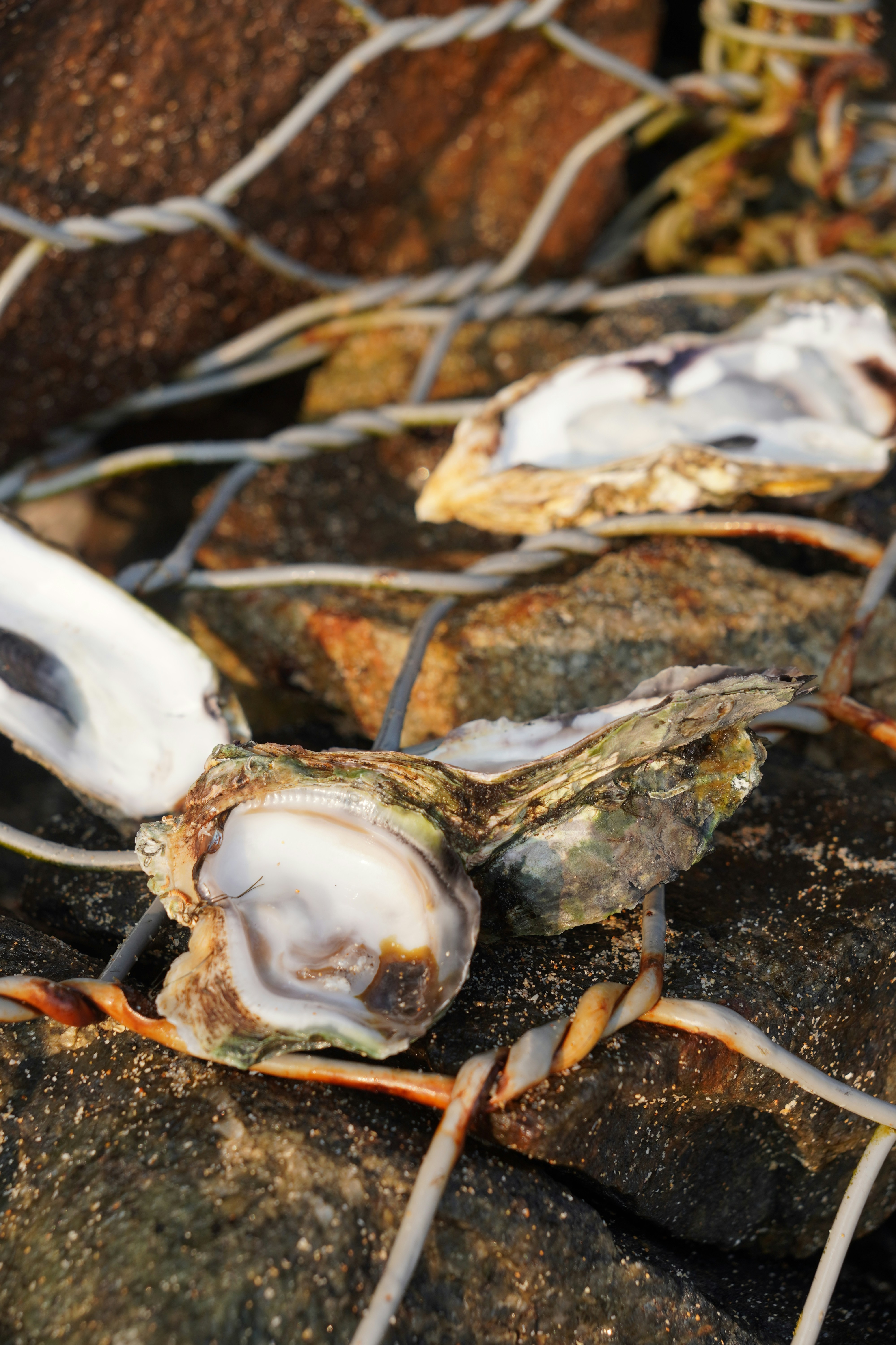 Photo by rahuldesignweb3