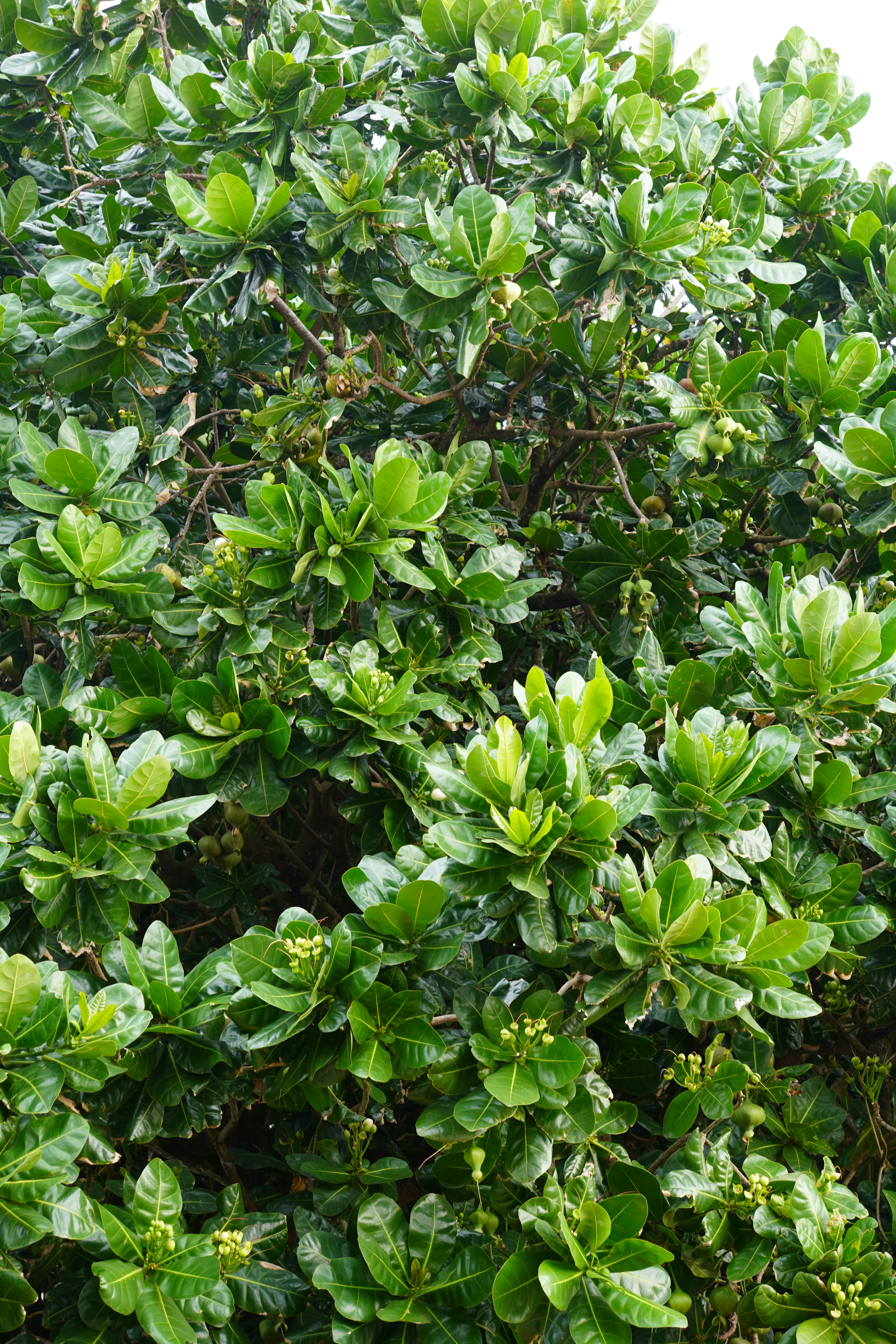 Photo by rahuldesignweb3