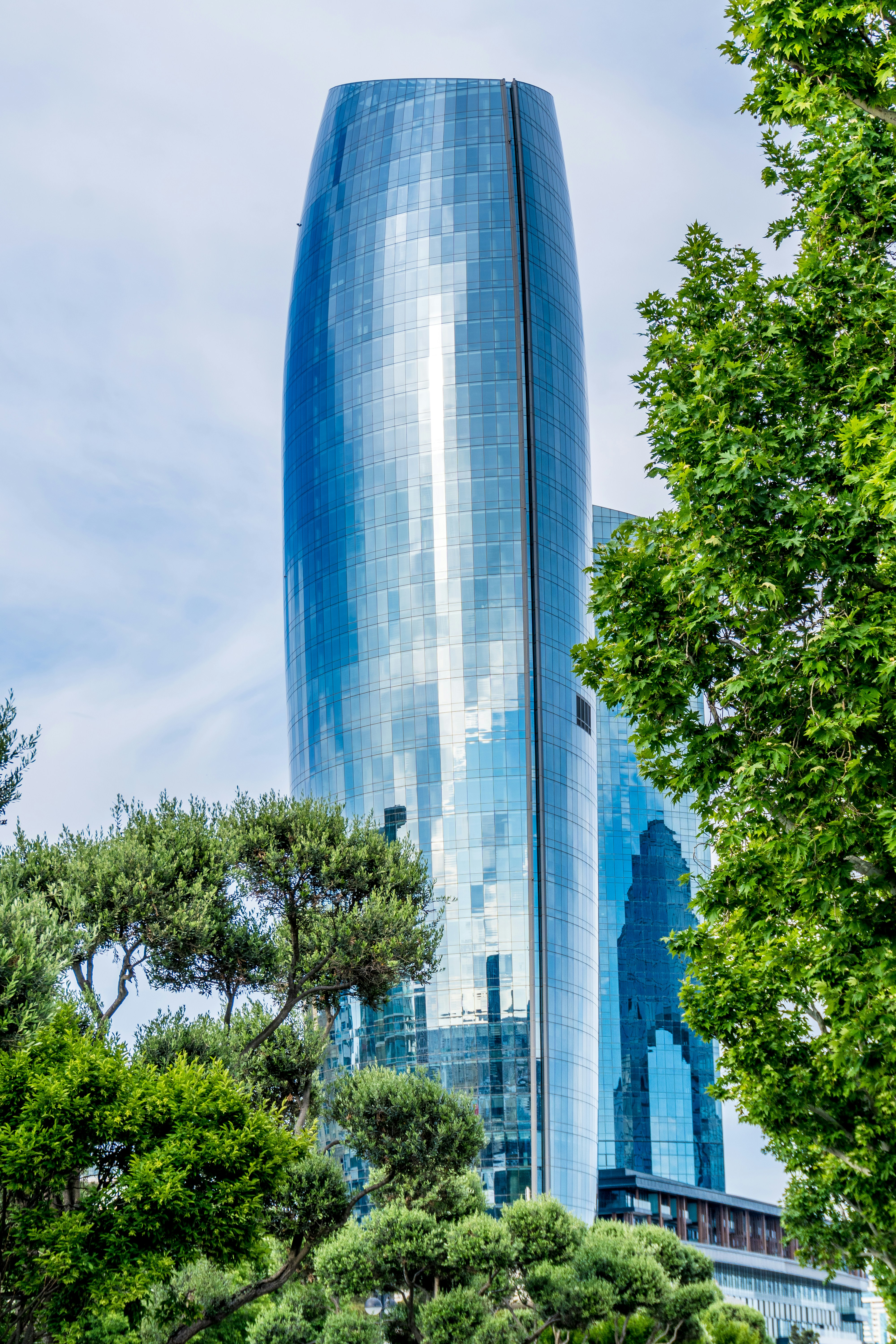 A modern, shiny skyscraper towering above trees.