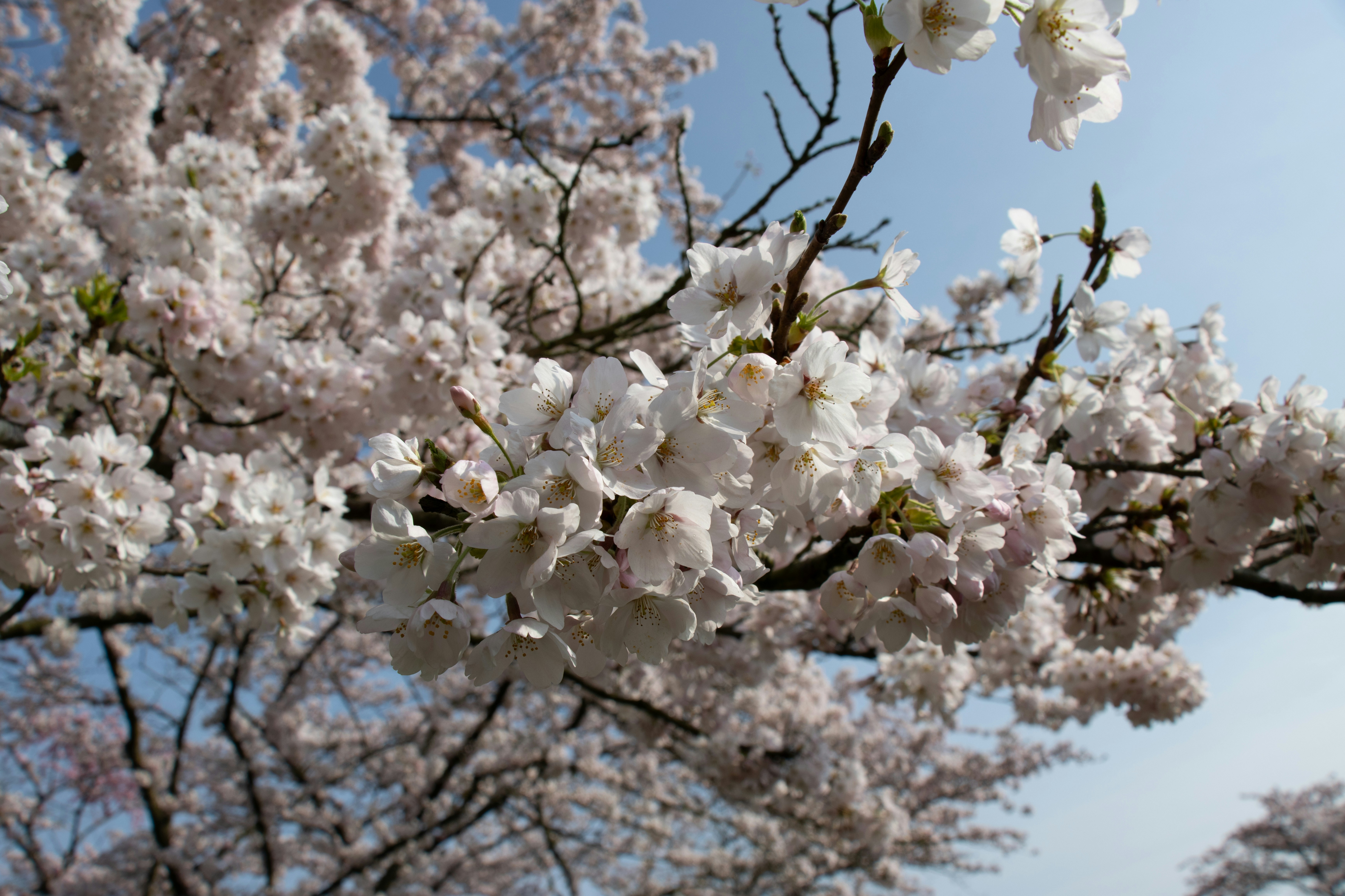 Photo by maarsenmedia