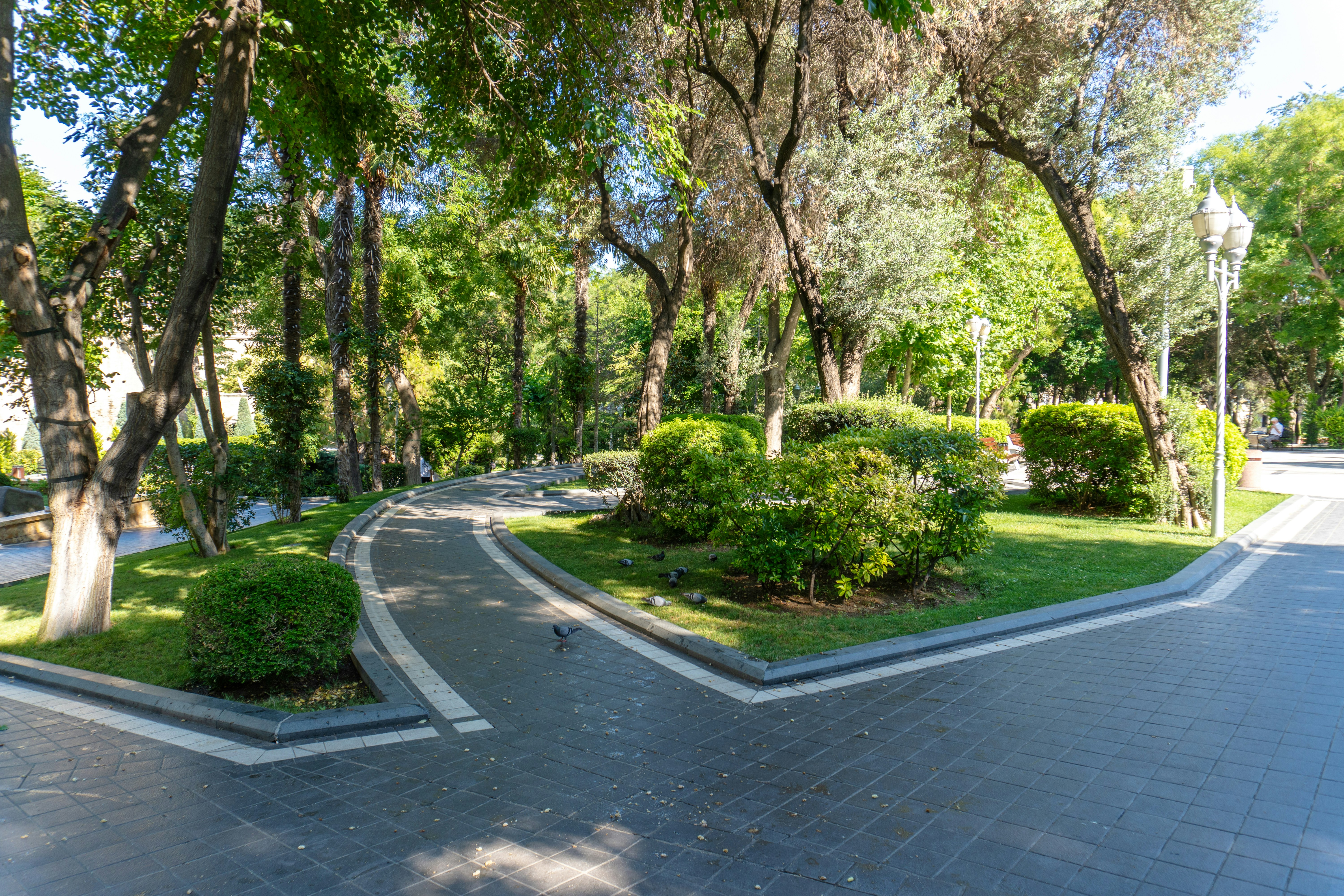 Photo by zulfugarkarimov