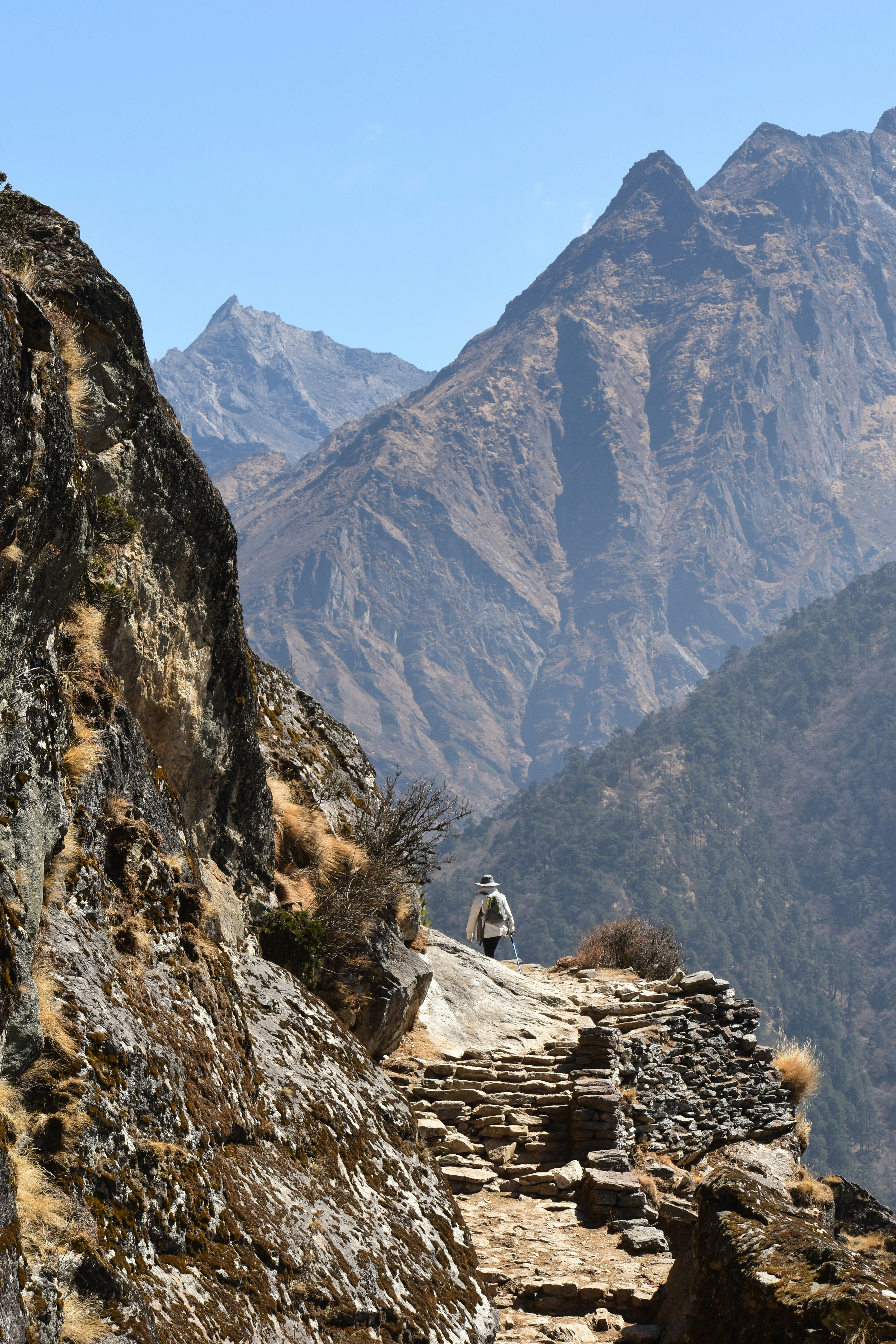 A hiker stands on a mountain path.