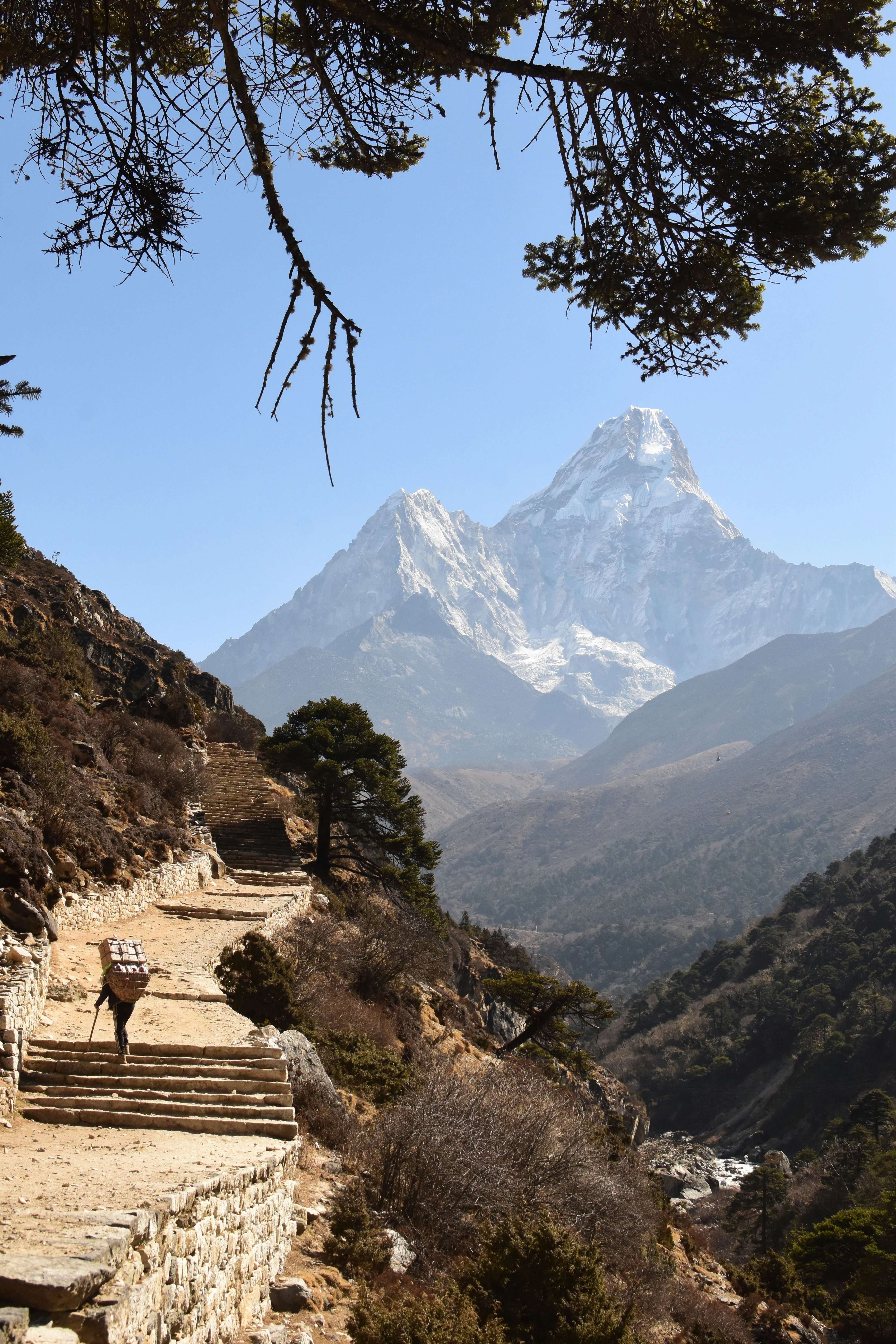 A hiker walks along a trail towards the mountain.