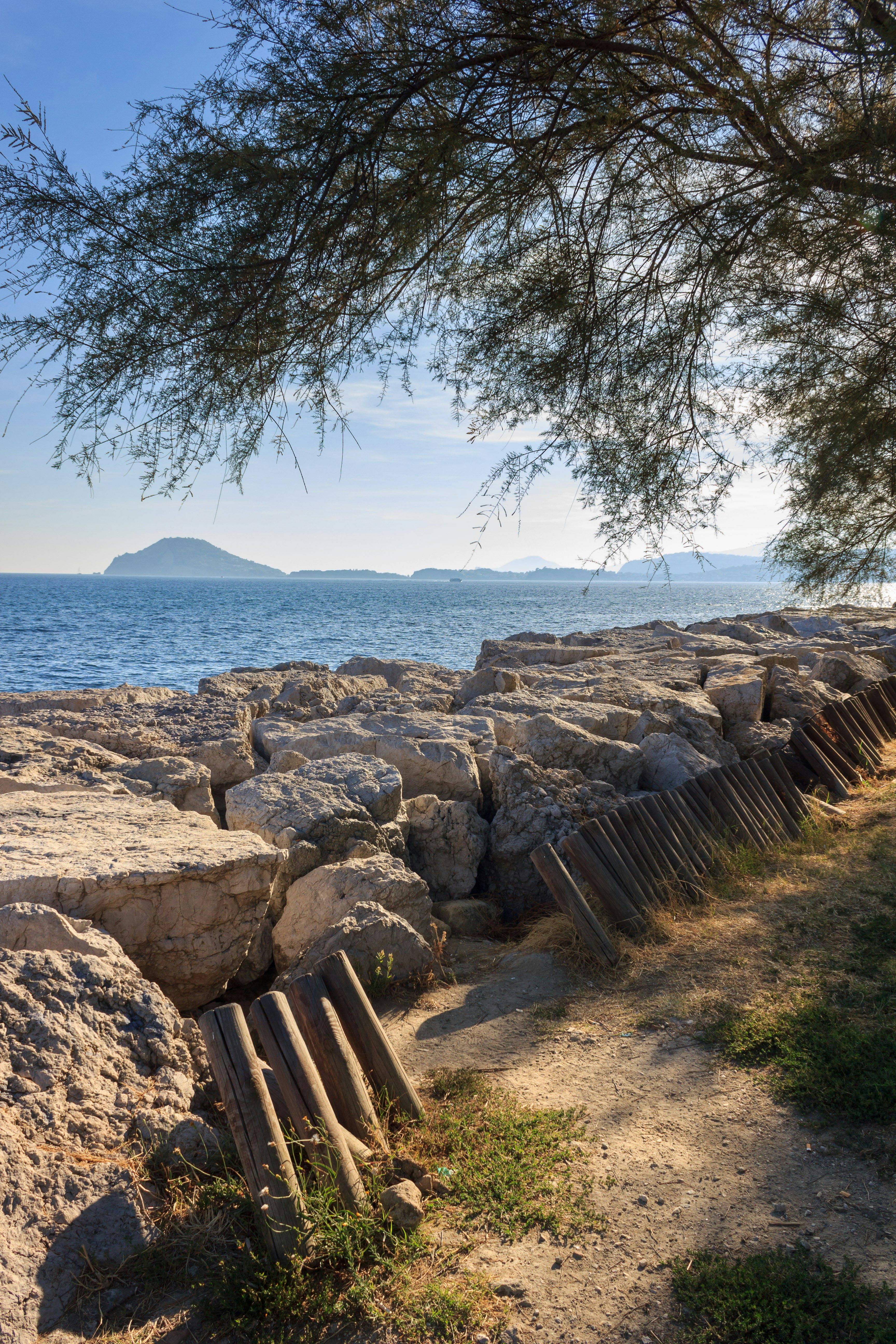 Rocky shore with ocean, sky, and tree.