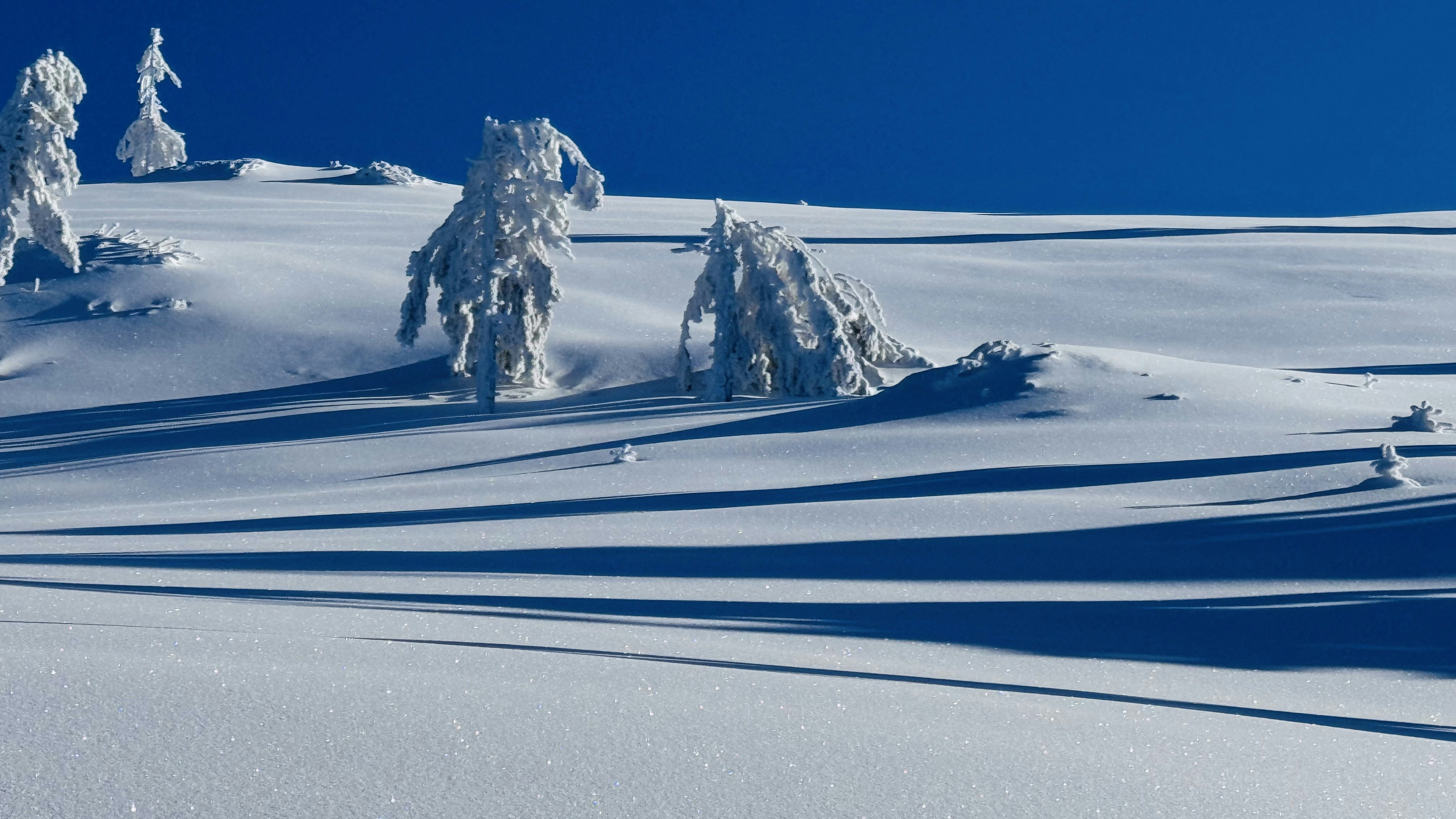 Photo by dasdasha2015