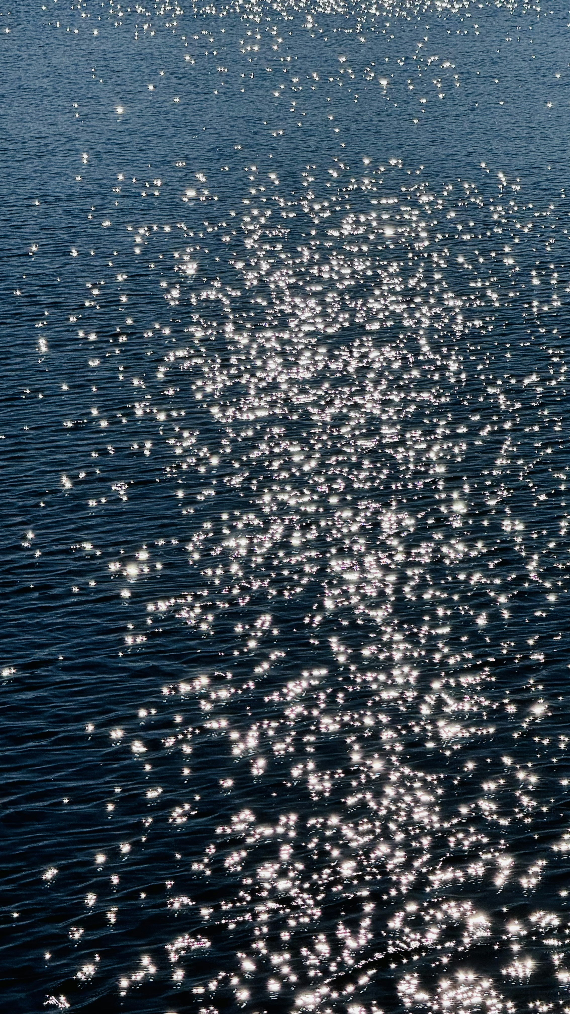 Sunlight glistens on the water's surface.