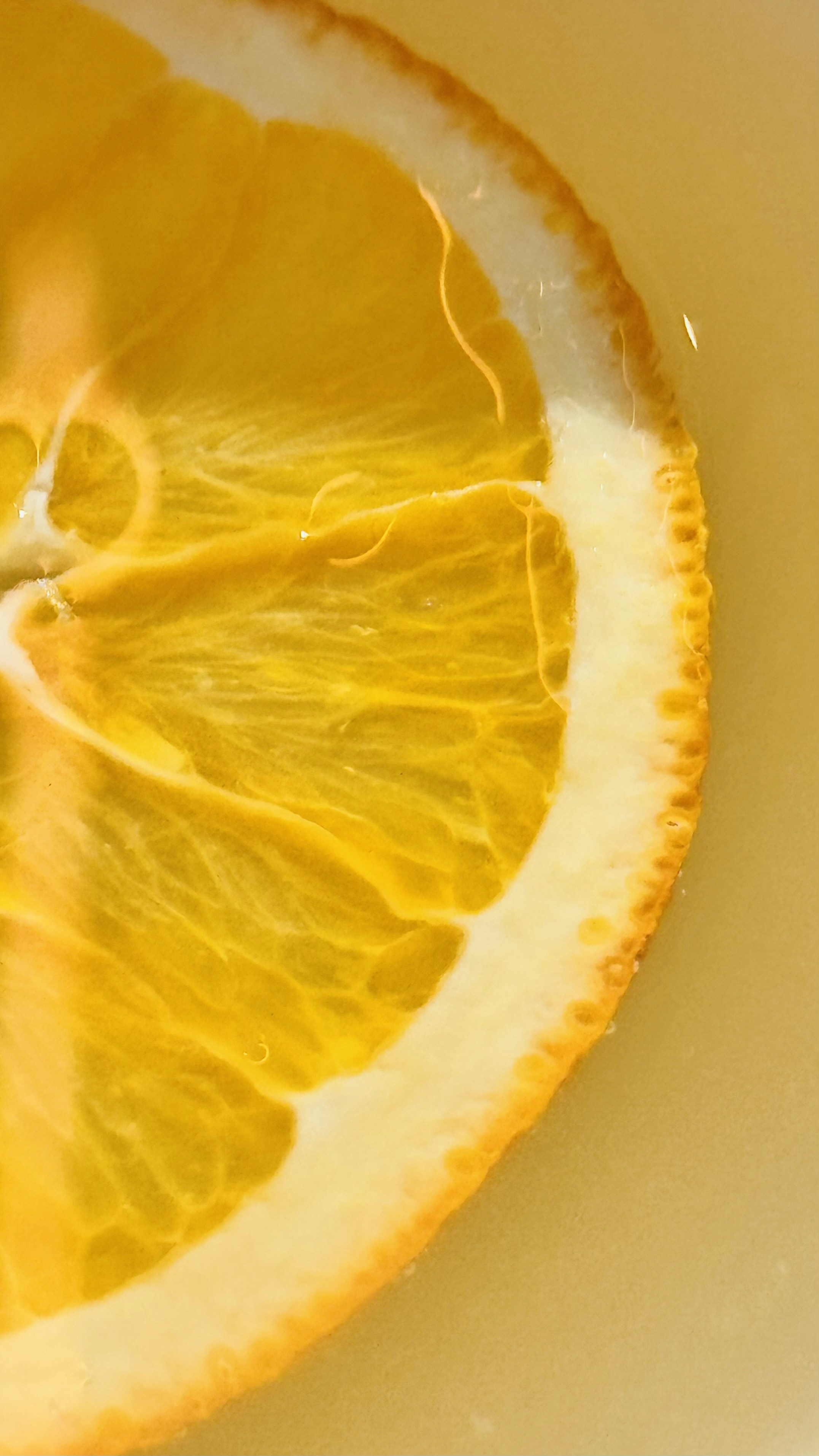 Photo by dasdasha2015